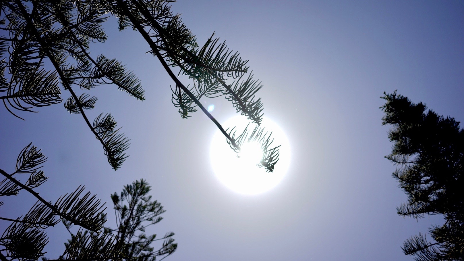 90526216-b2d7-4fb6-8769-b7a81cf32971