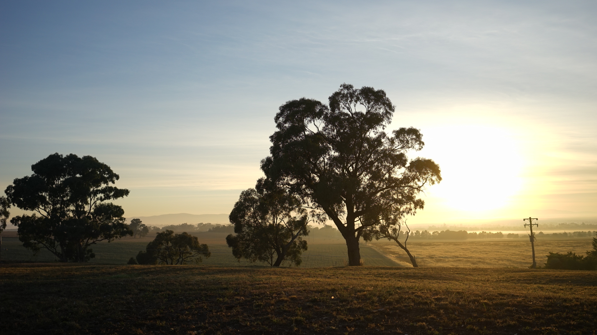 313587e7-7fdb-4939-8f26-1d2969344f0c