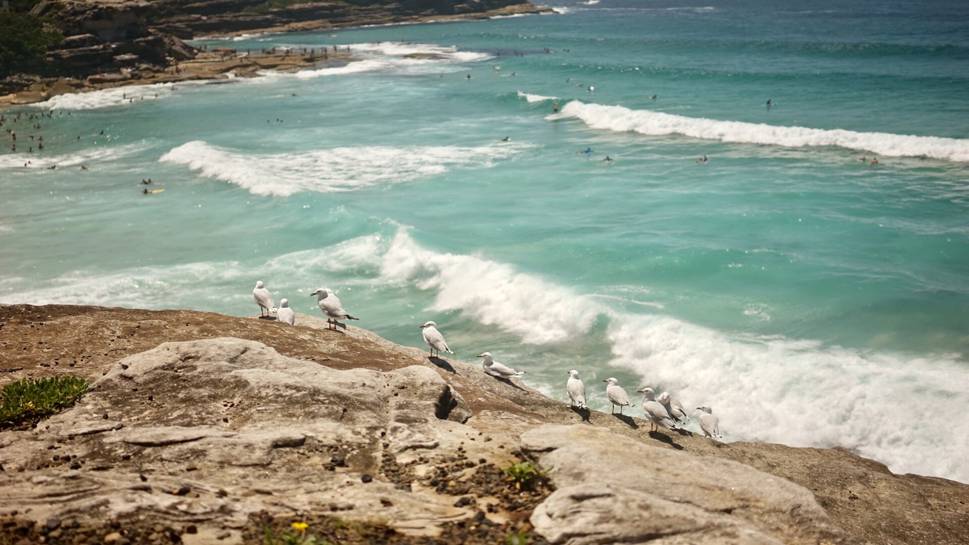 4f186dab-1c18-447b-a80f-52ff3cc921bf