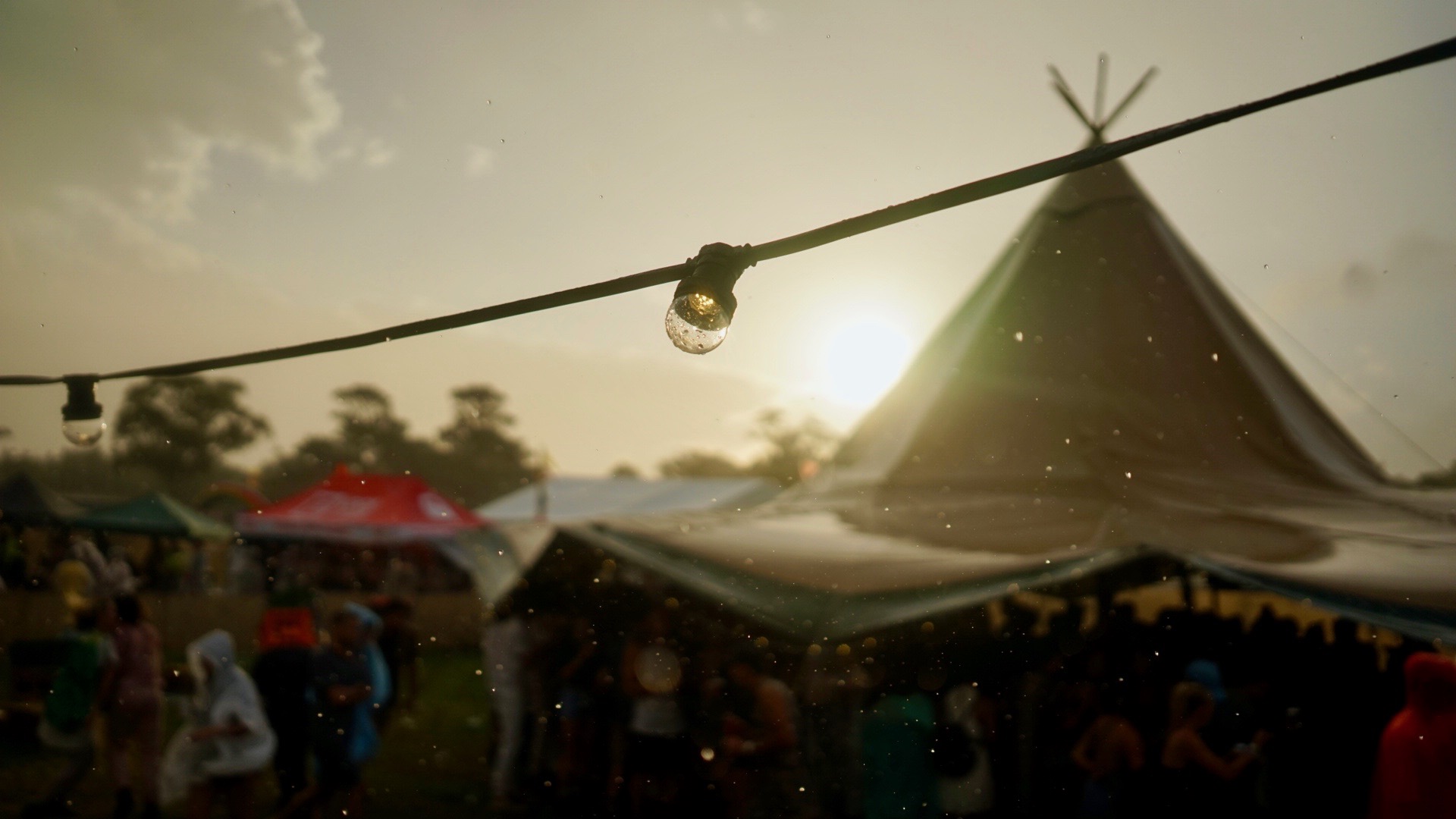 ed7fdb9d-5298-4cbf-b5de-9fc3fcc88206