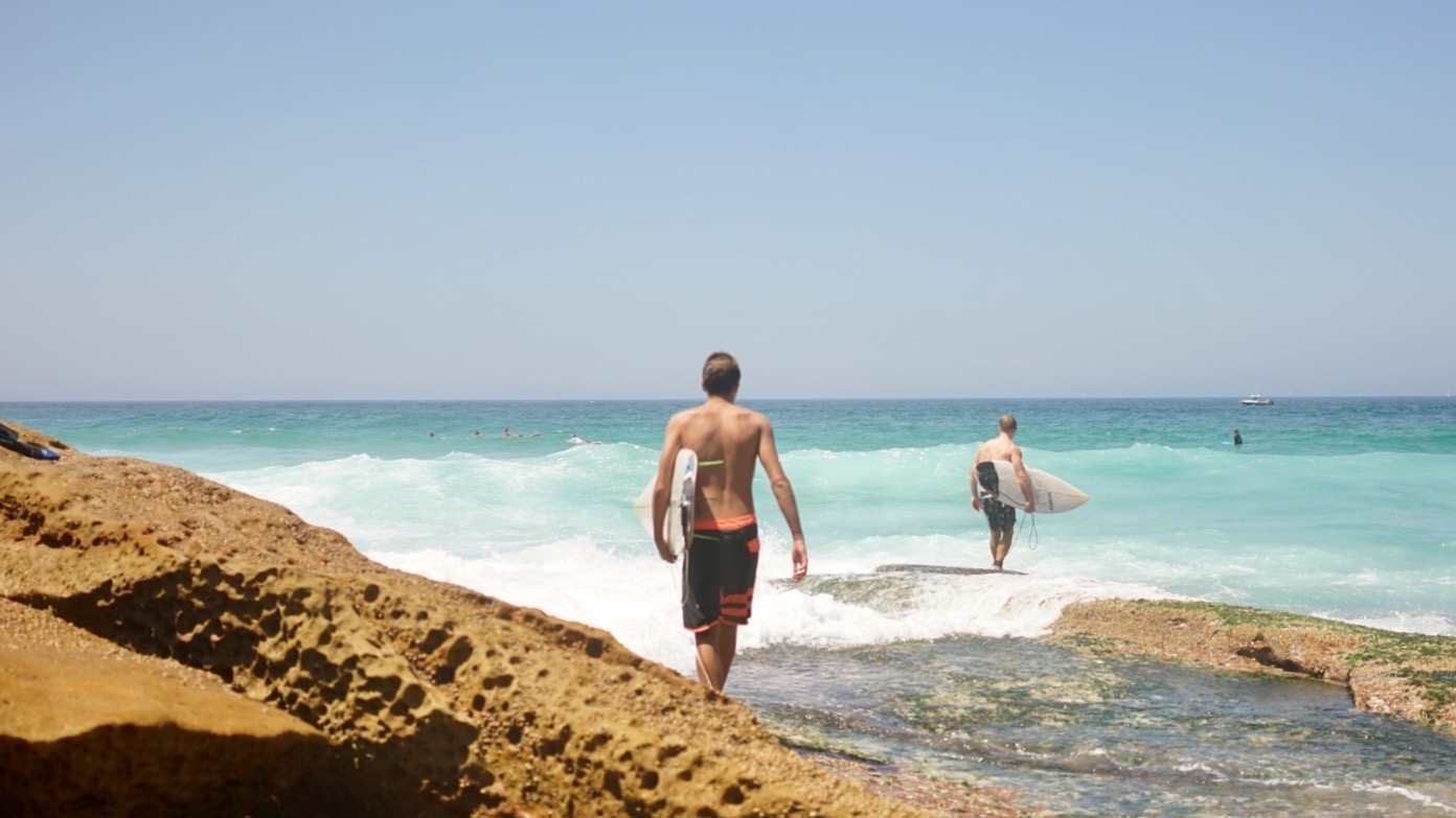 f6aa645e-30b0-4e39-b0e7-980c8e8cb8c5