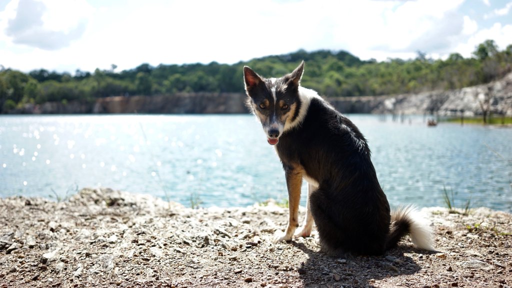 Day 39 –&nbsp;Quarry