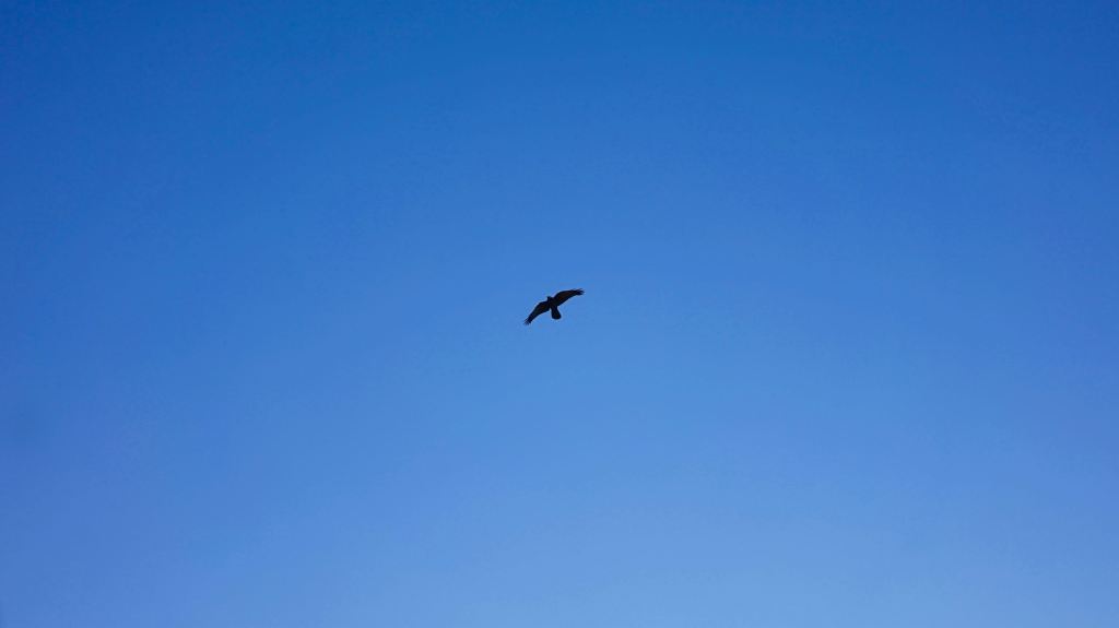 Day 54. –&nbsp;Turrets