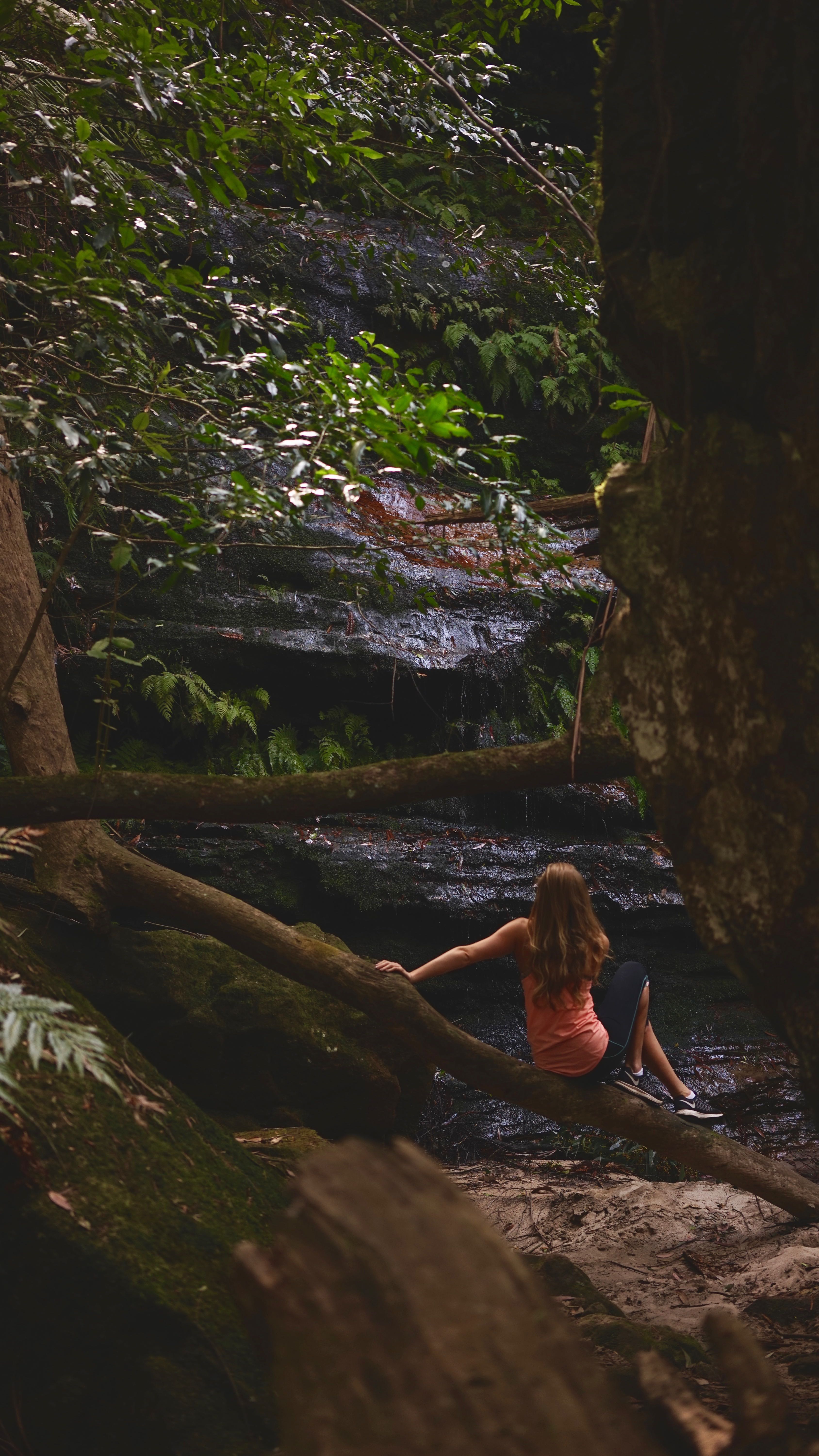 Blue Mountains Adventure