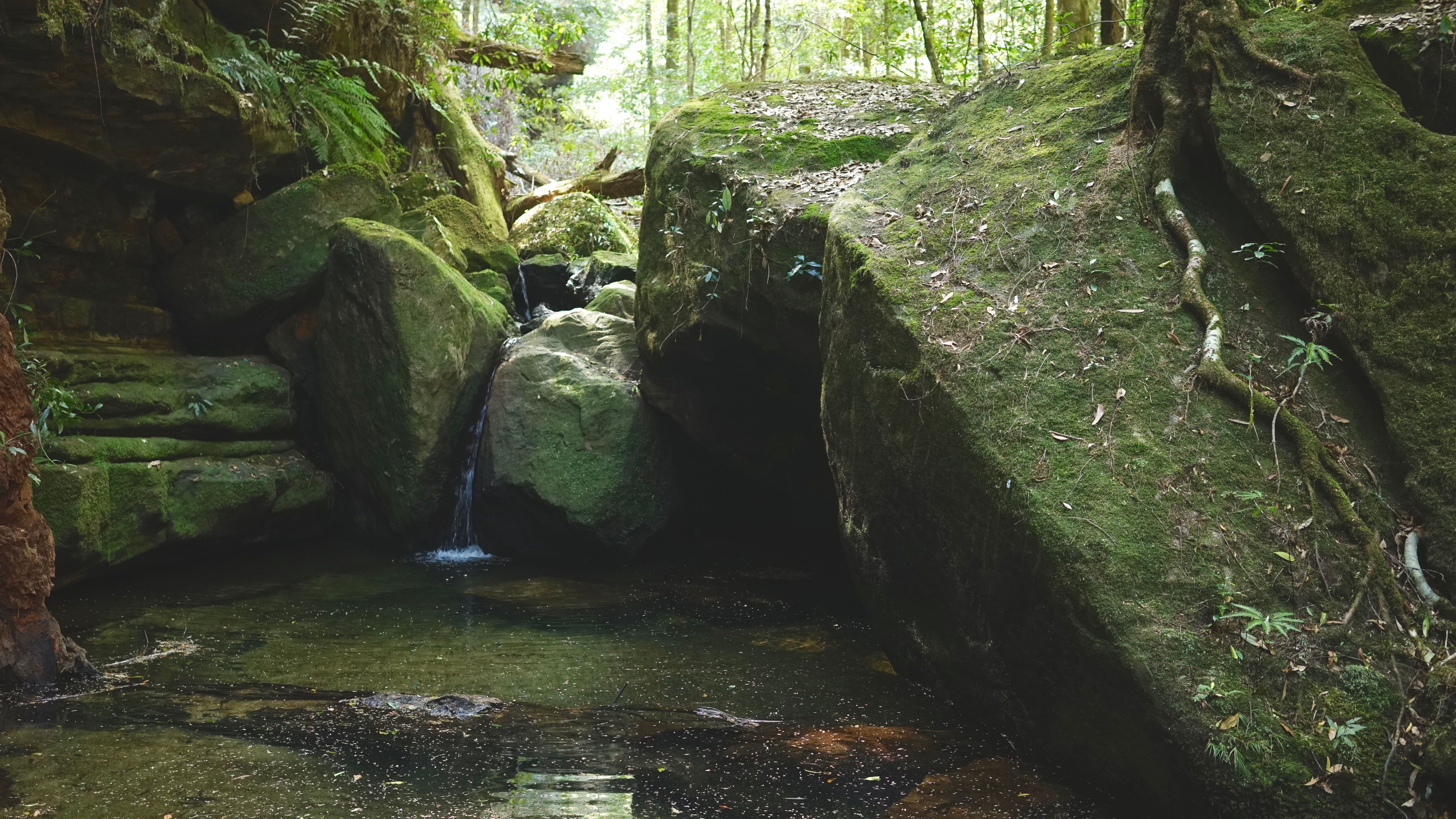 Blue Mountains Adventure