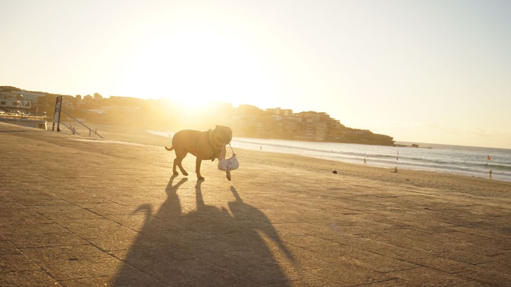 Day 65. – A.&nbsp;Monday