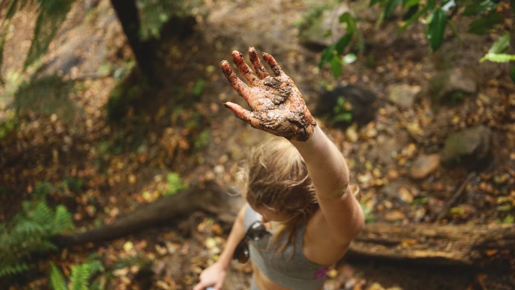 Day 66. –&nbsp;Rain//forests