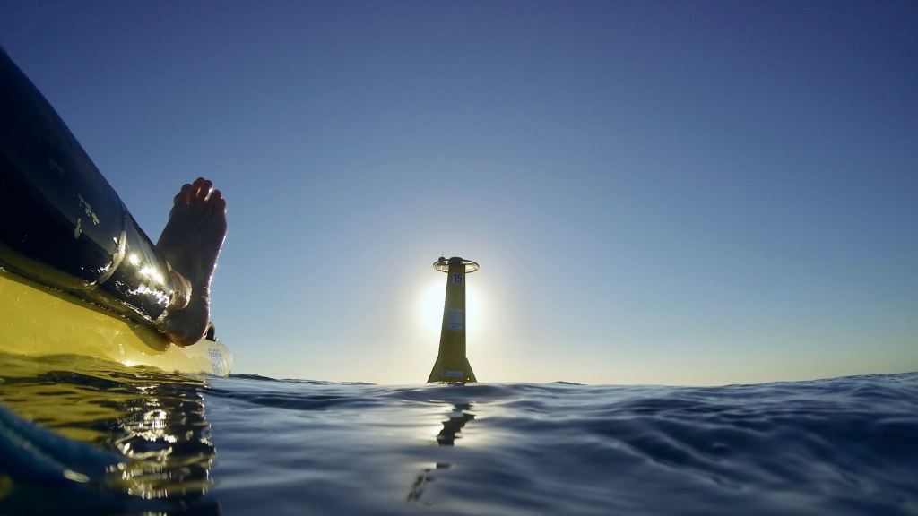 Day 69. – Shark&nbsp;Buoy