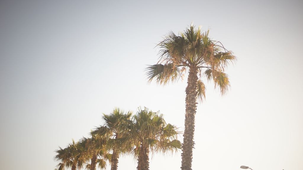 Day 75. –&nbsp;Street