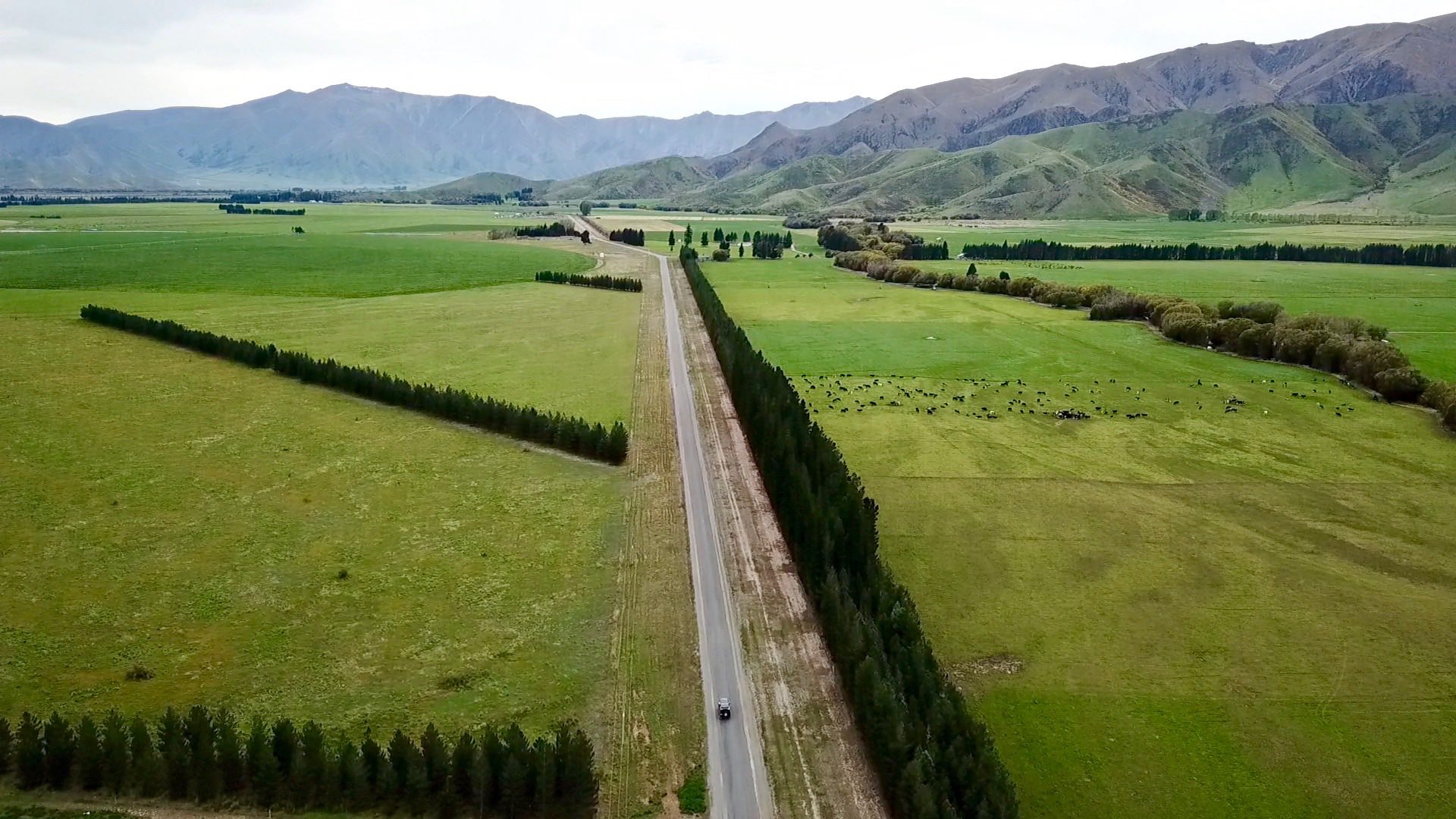 Frame-29-03-2018-06-20-42-squashed