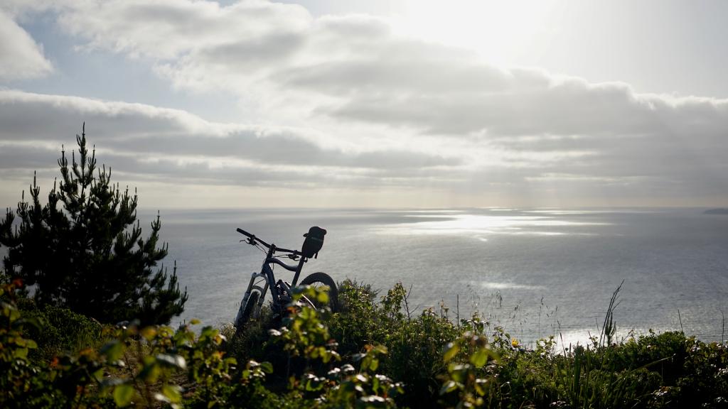 Day 106. – Muir Woods on Mountain&nbsp;Bikes