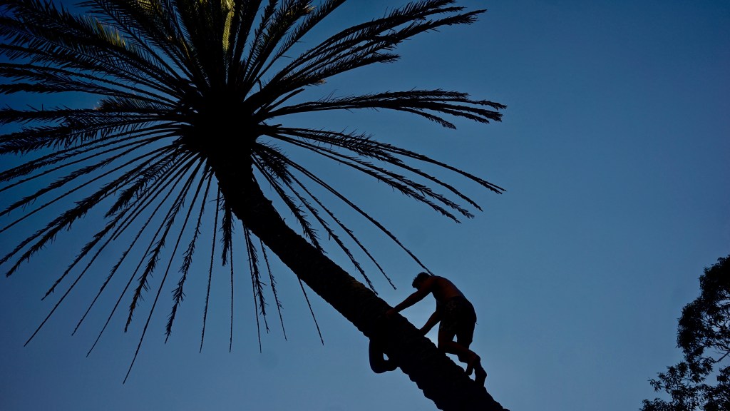 Day 95. – Climb Up / Dive&nbsp;in