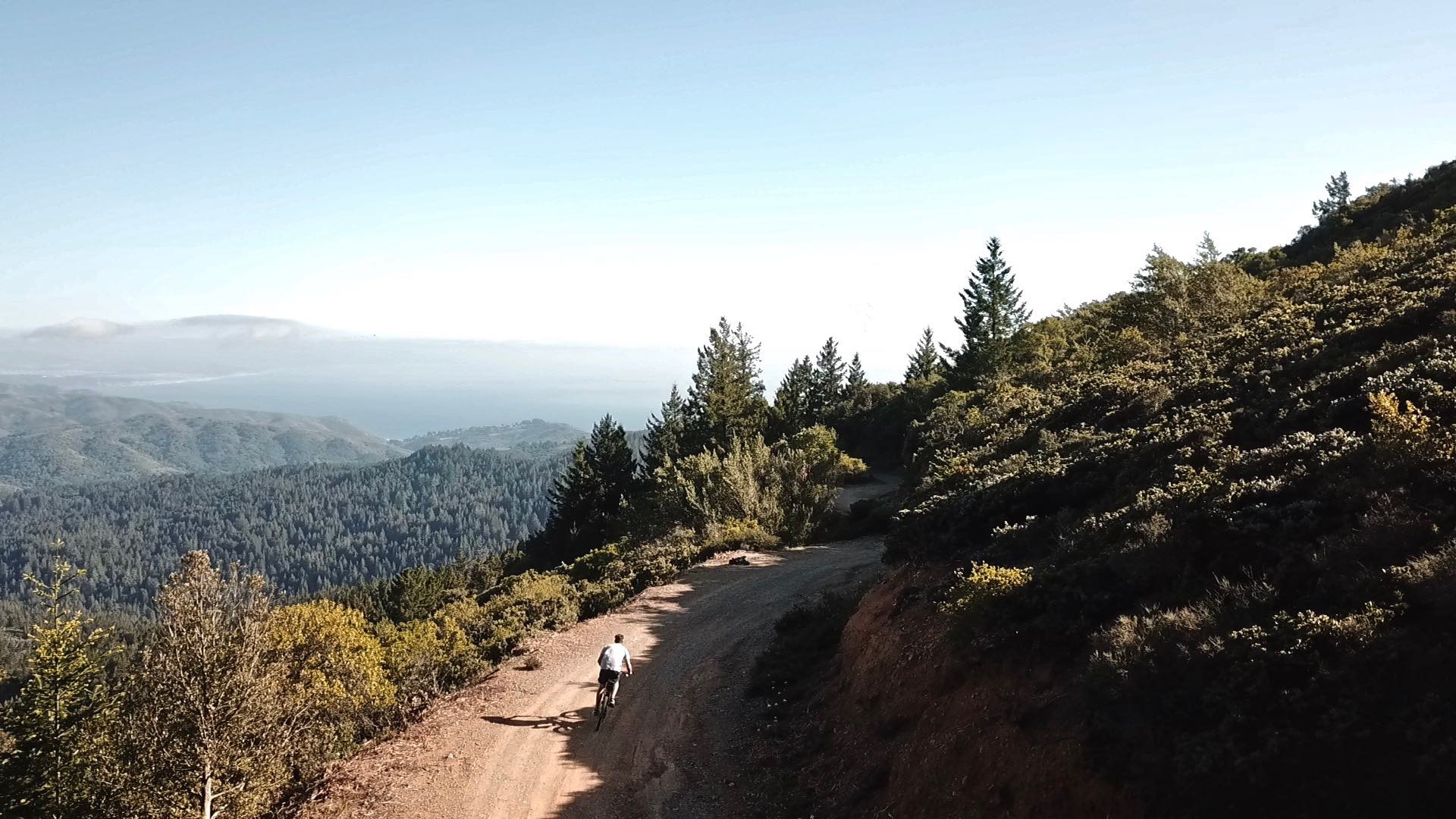 Frame-29-04-2018-11-32-33-squashed