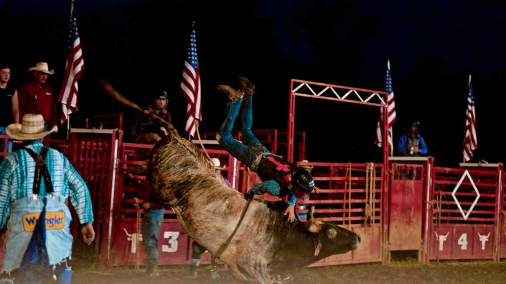 Day 128. – It’s A&nbsp;Rodeo
