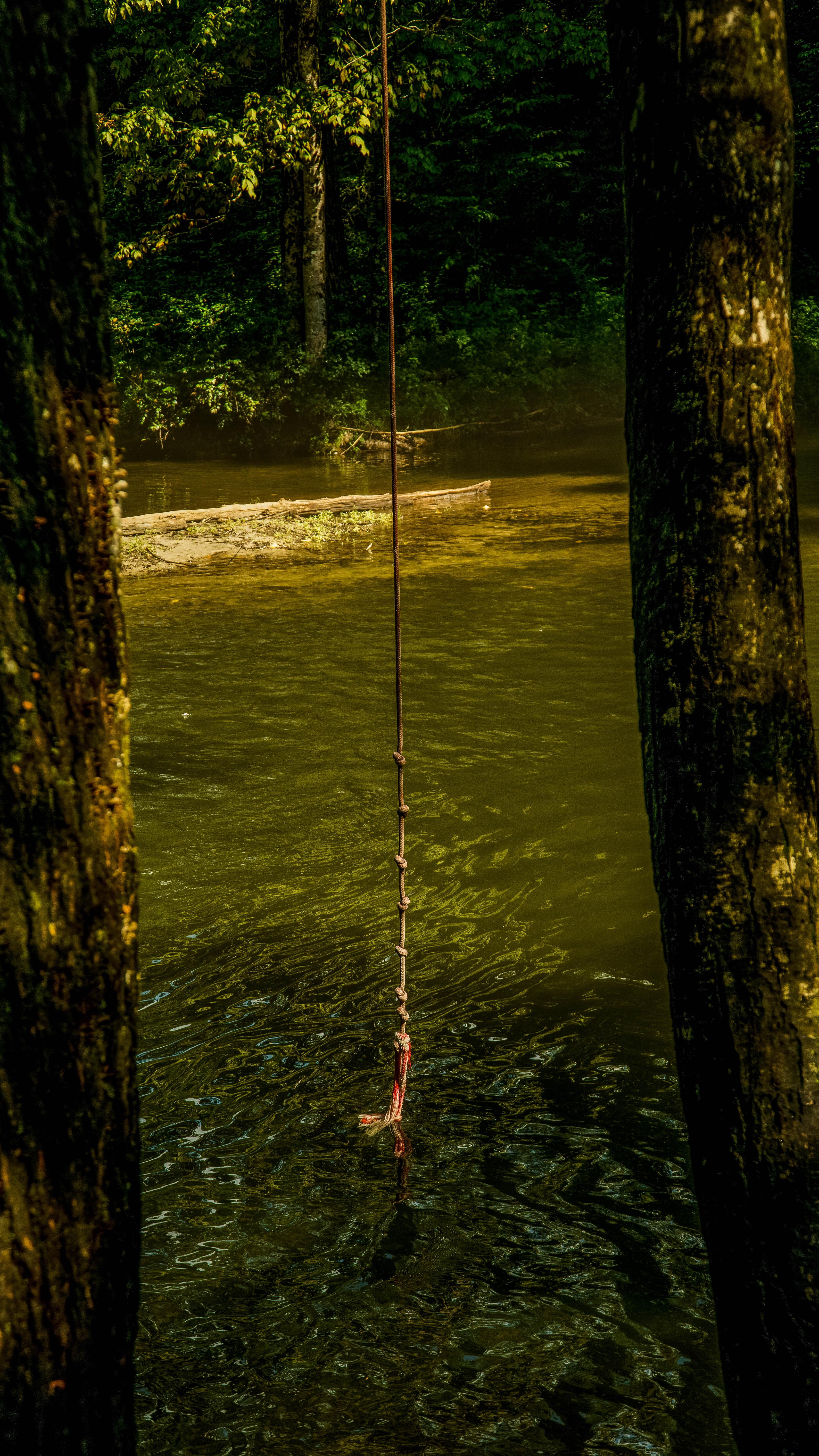 20180807-Michael - 375-120-squashed