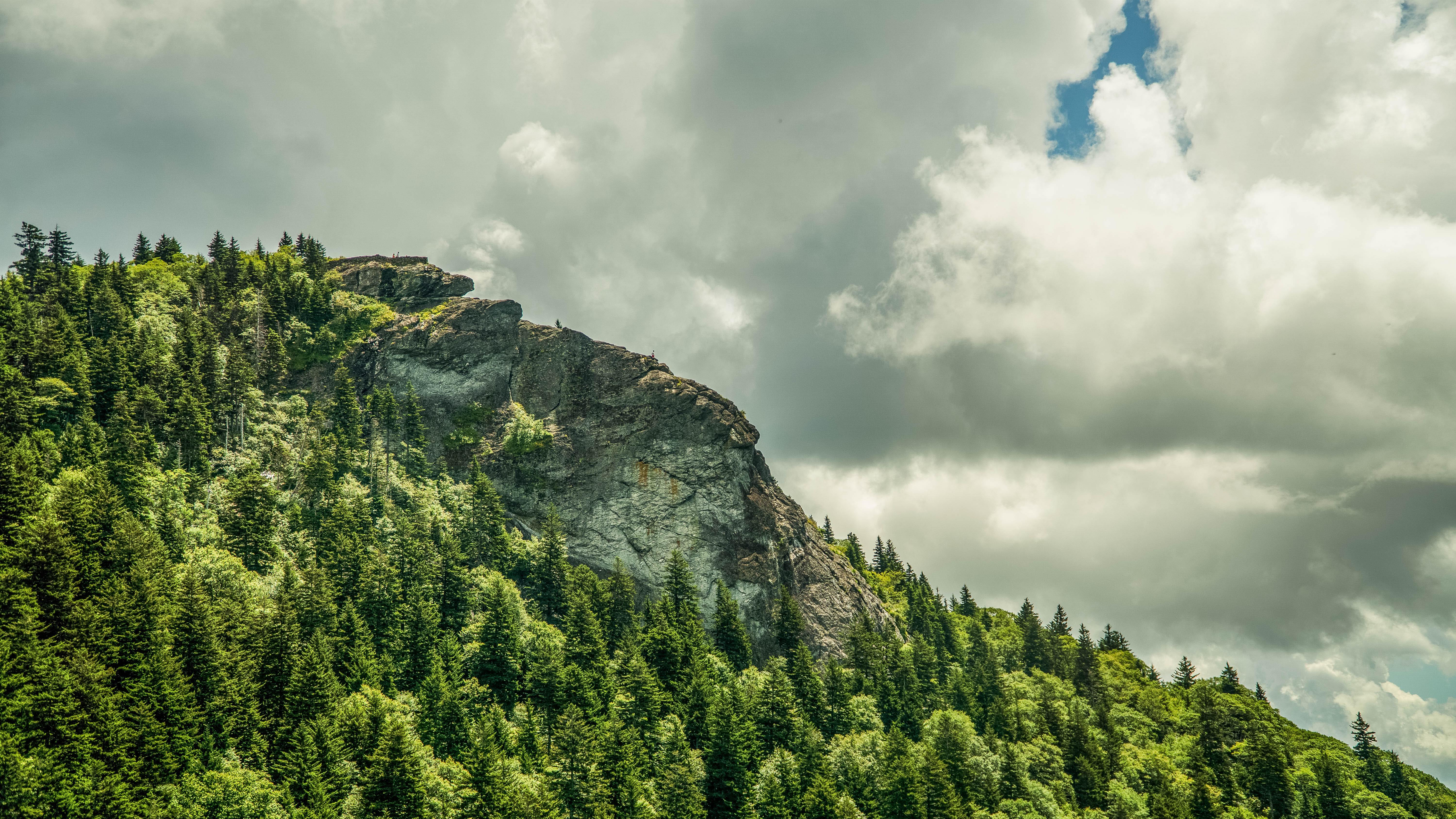 20180807-Michael - 375-132-squashed