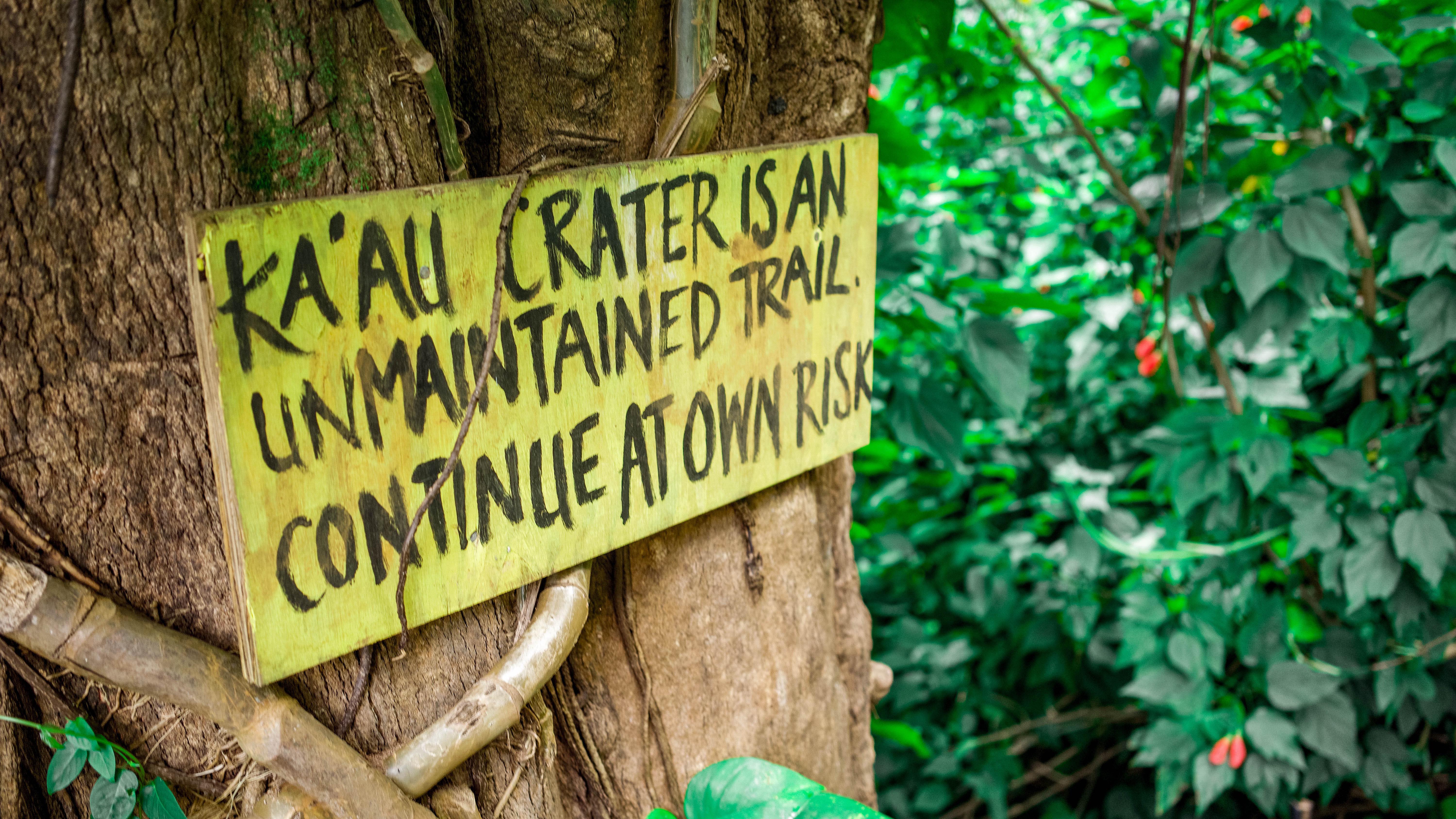 20180814-DSC02019-squashed