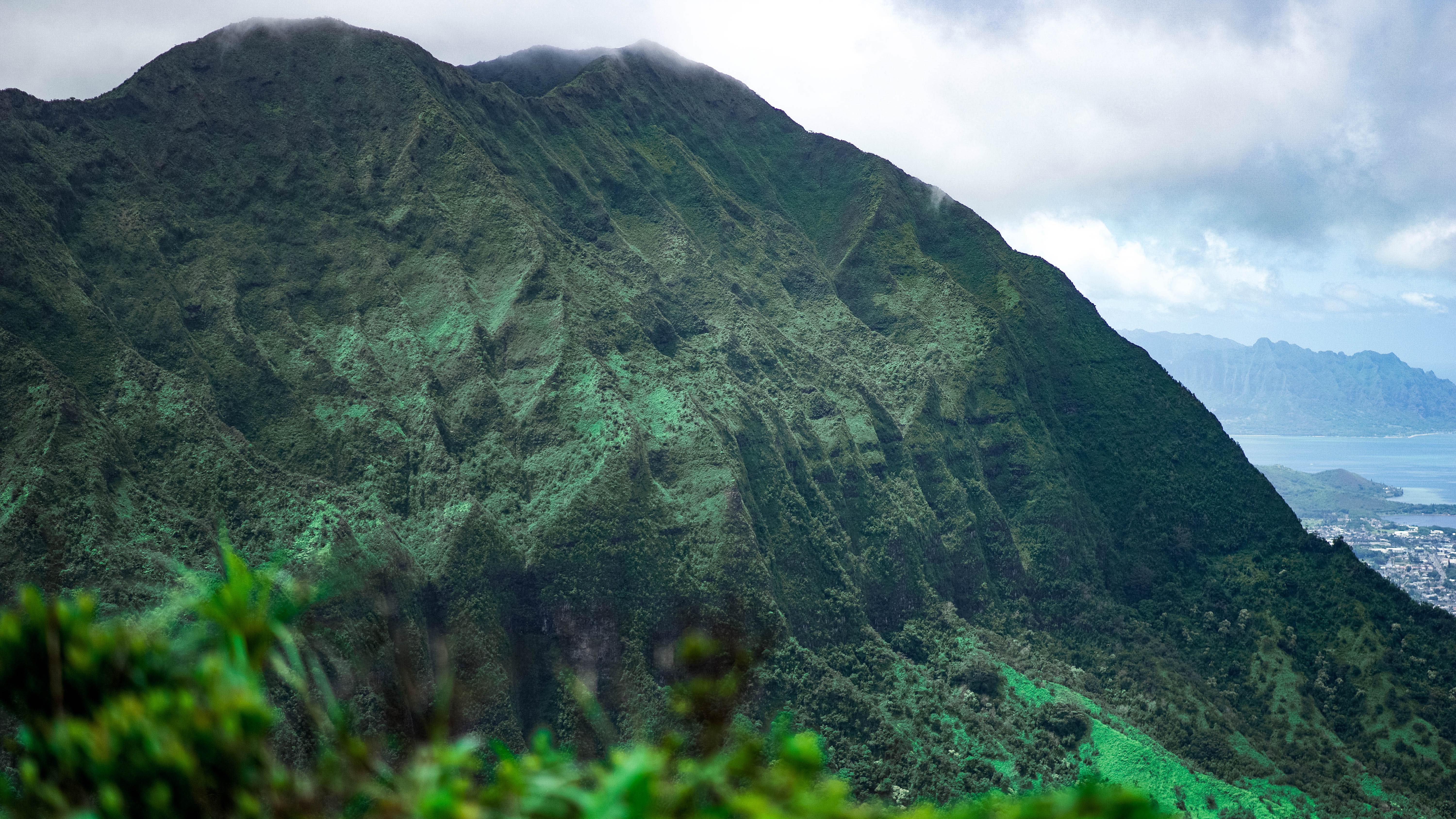 20180814-DSC02090-squashed