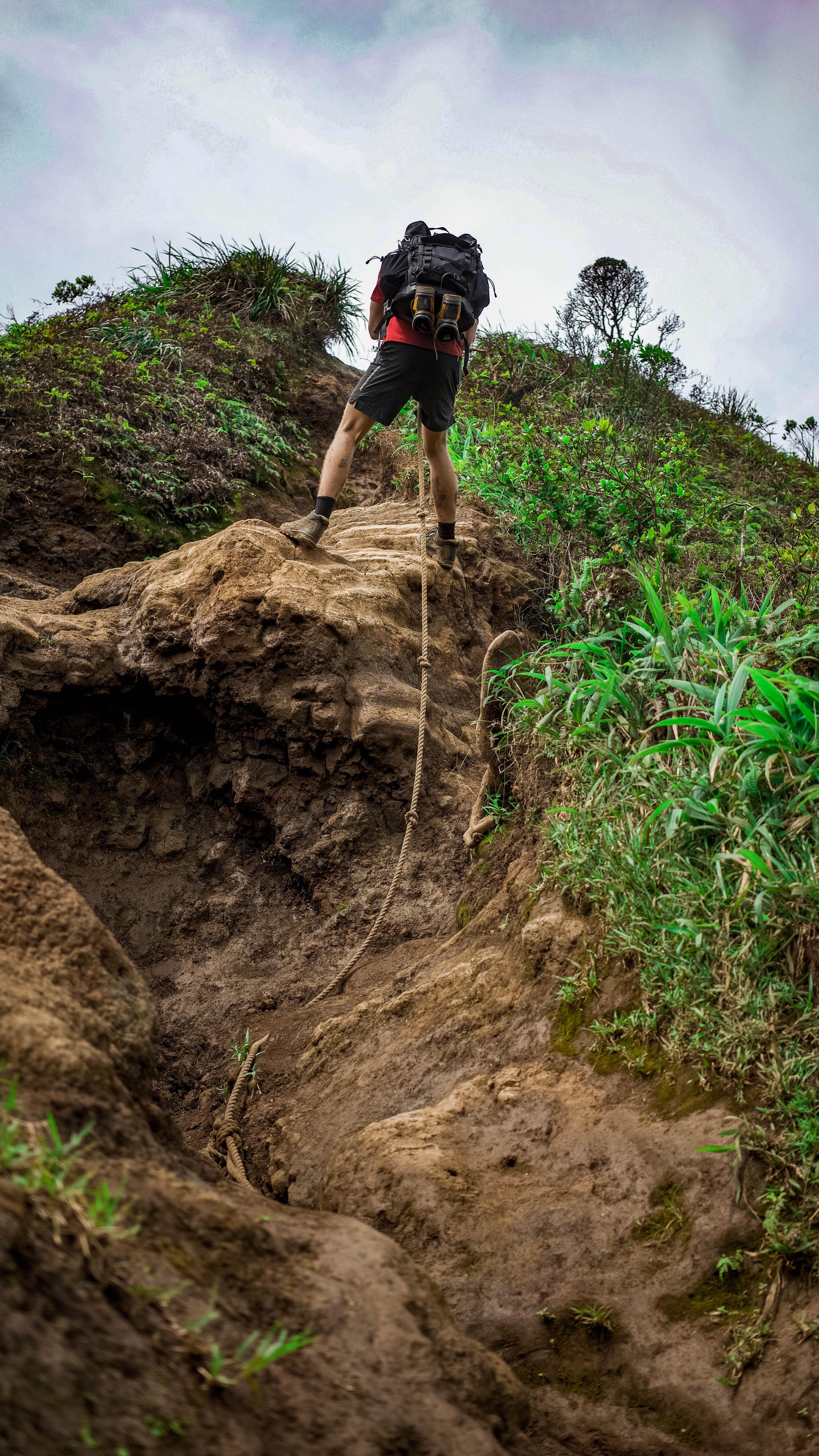 20180814-DSC02127-squashed