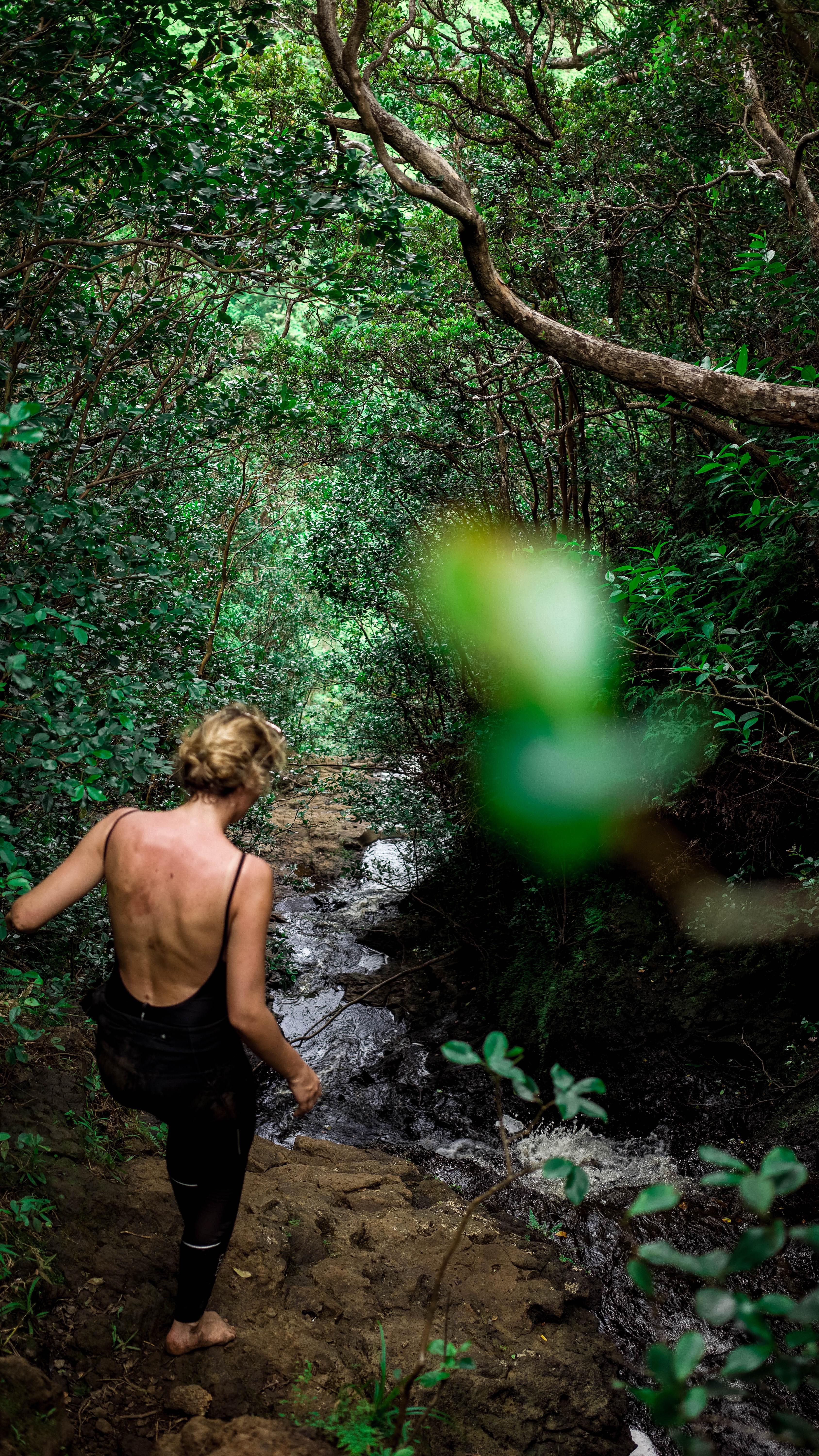 20180814-DSC02152-squashed