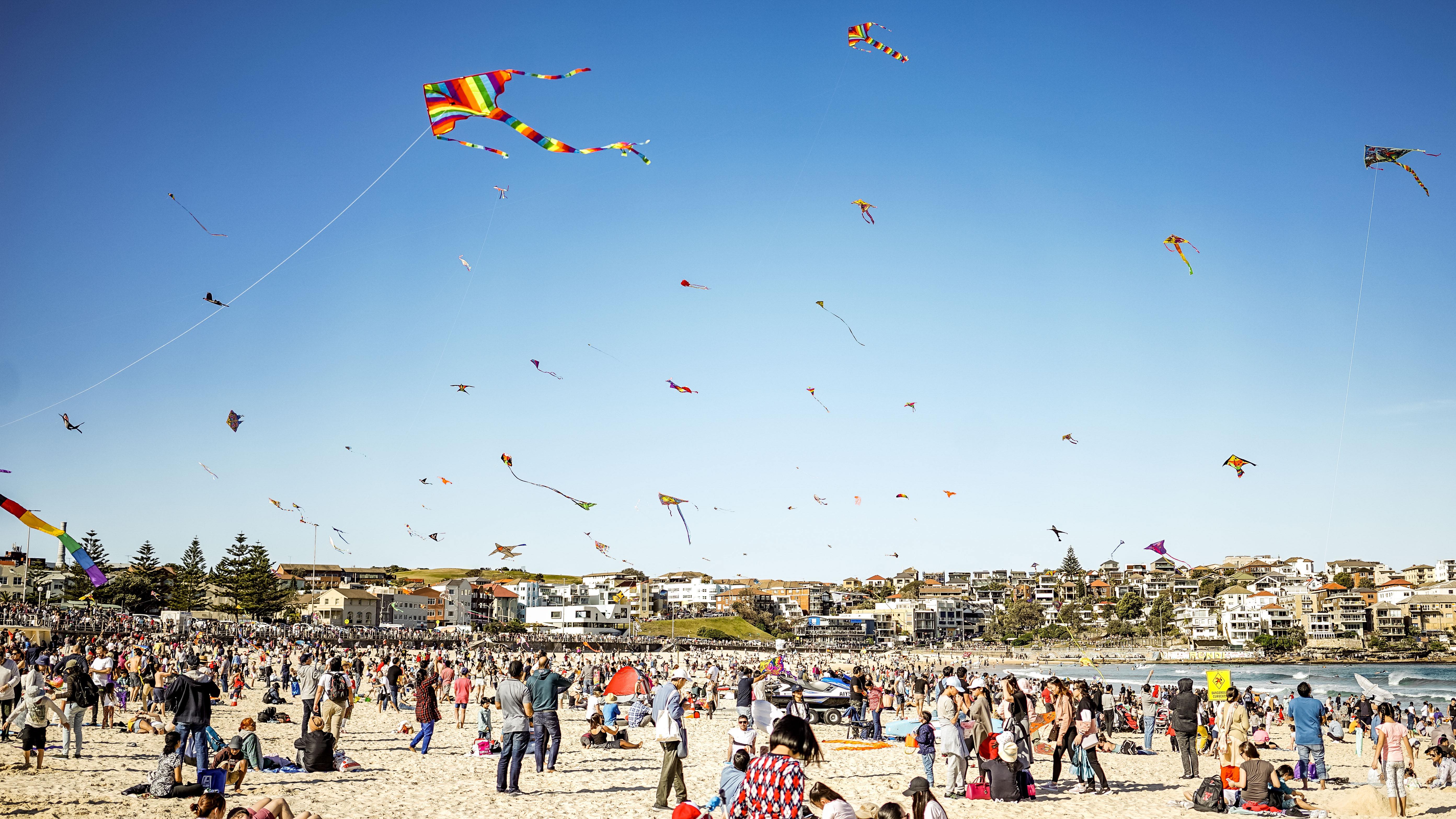 20180909-DSC02075-squashed