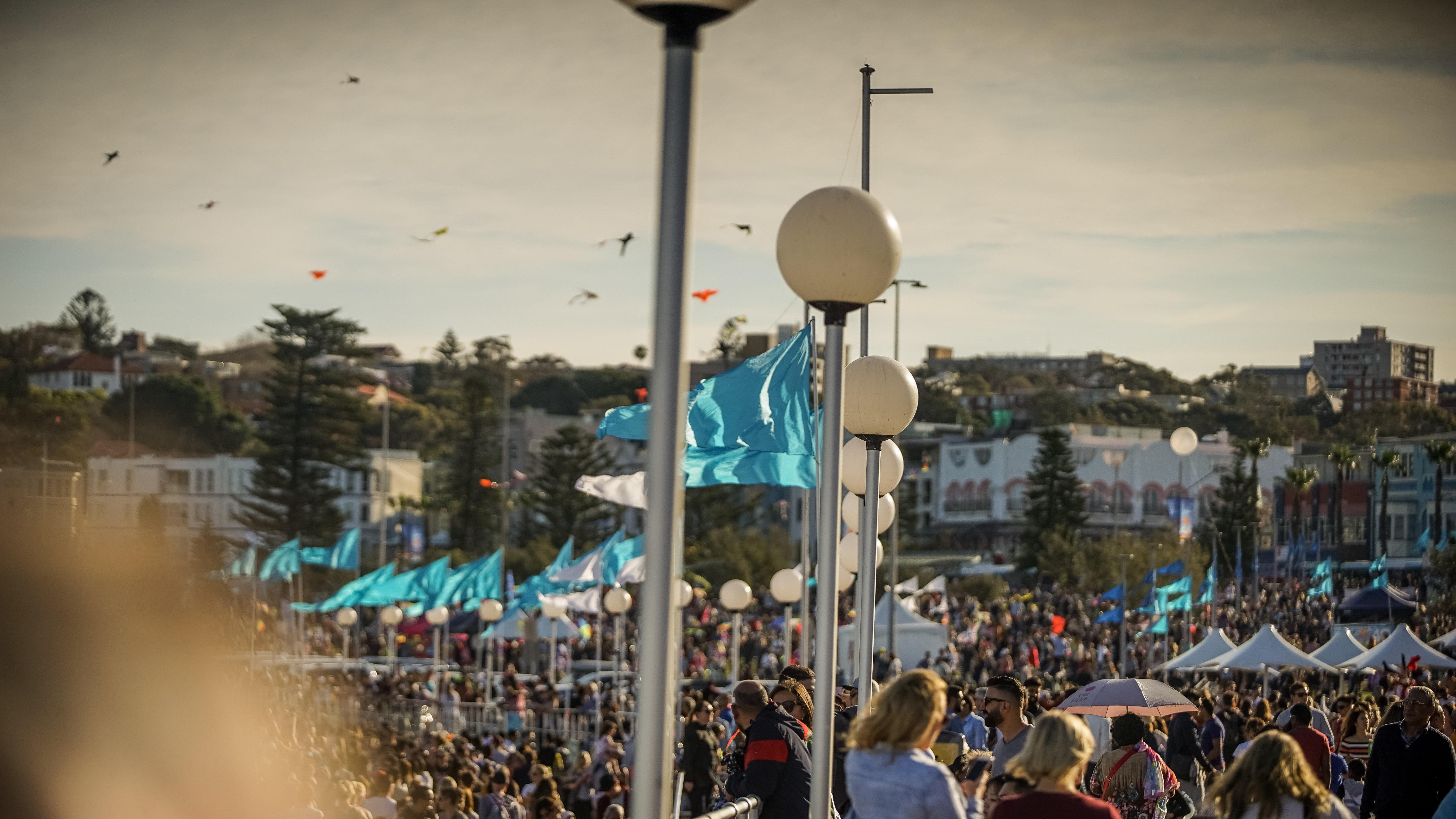 20180909-DSC02137 2-squashed