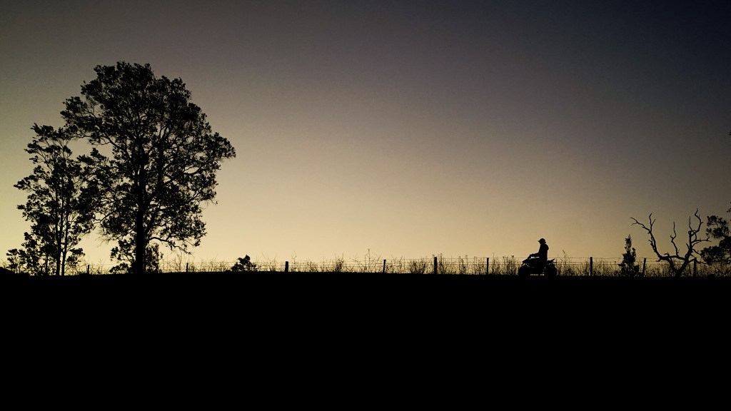 Day 143. – Fly By Farm&nbsp;Weekend