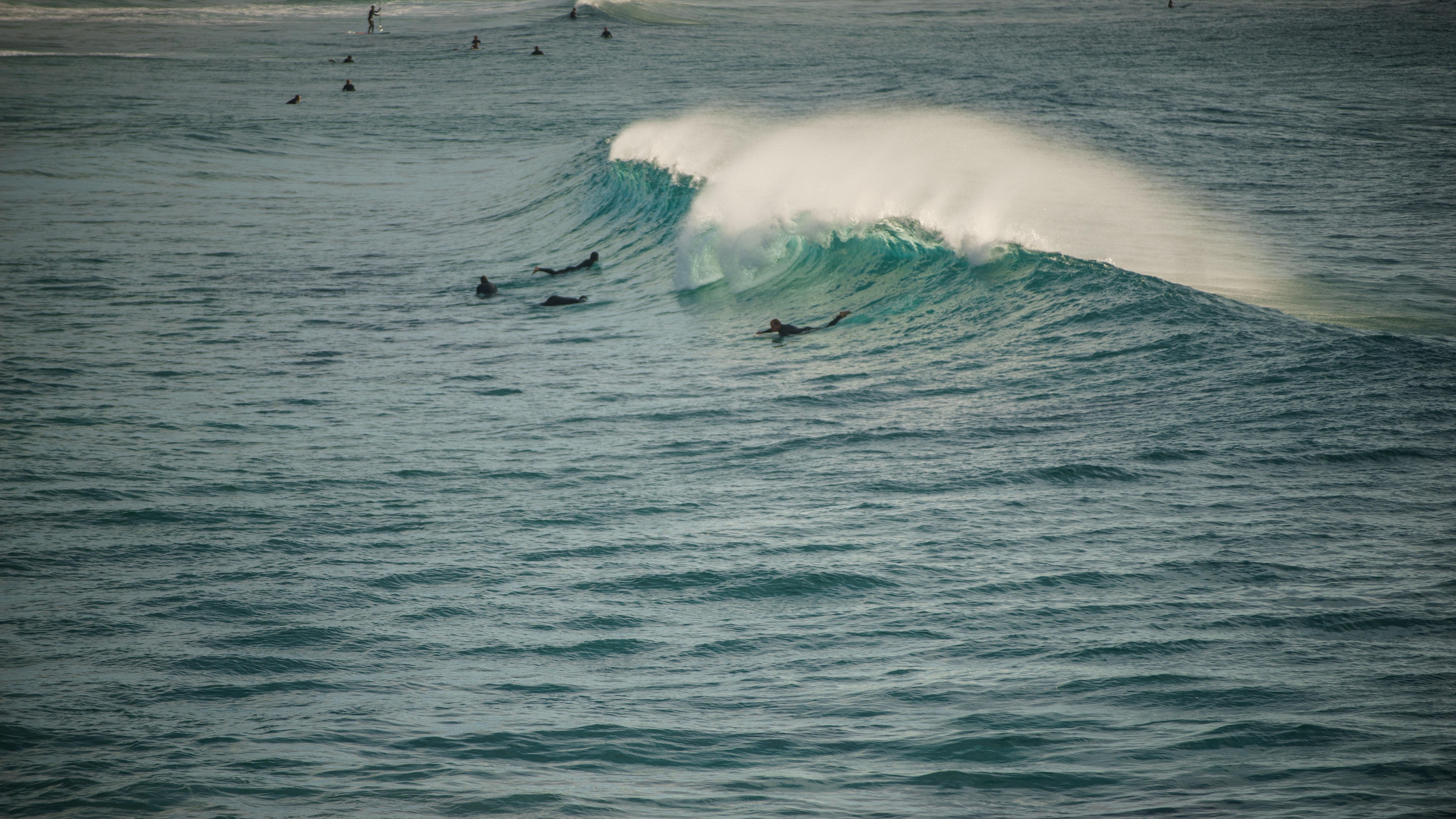 20181009-DSC02611-squashed