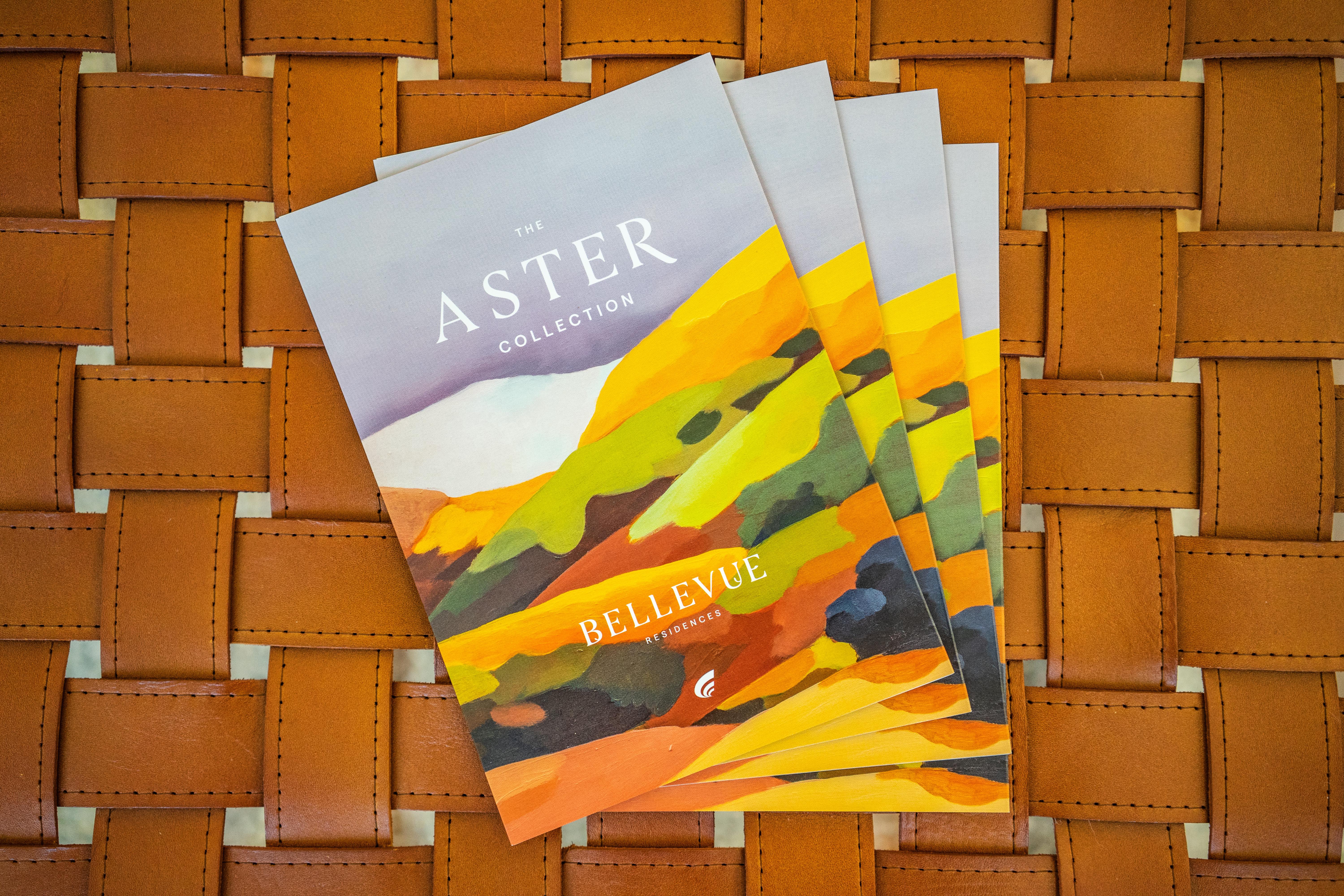 Bellevue Residences-16-squashed