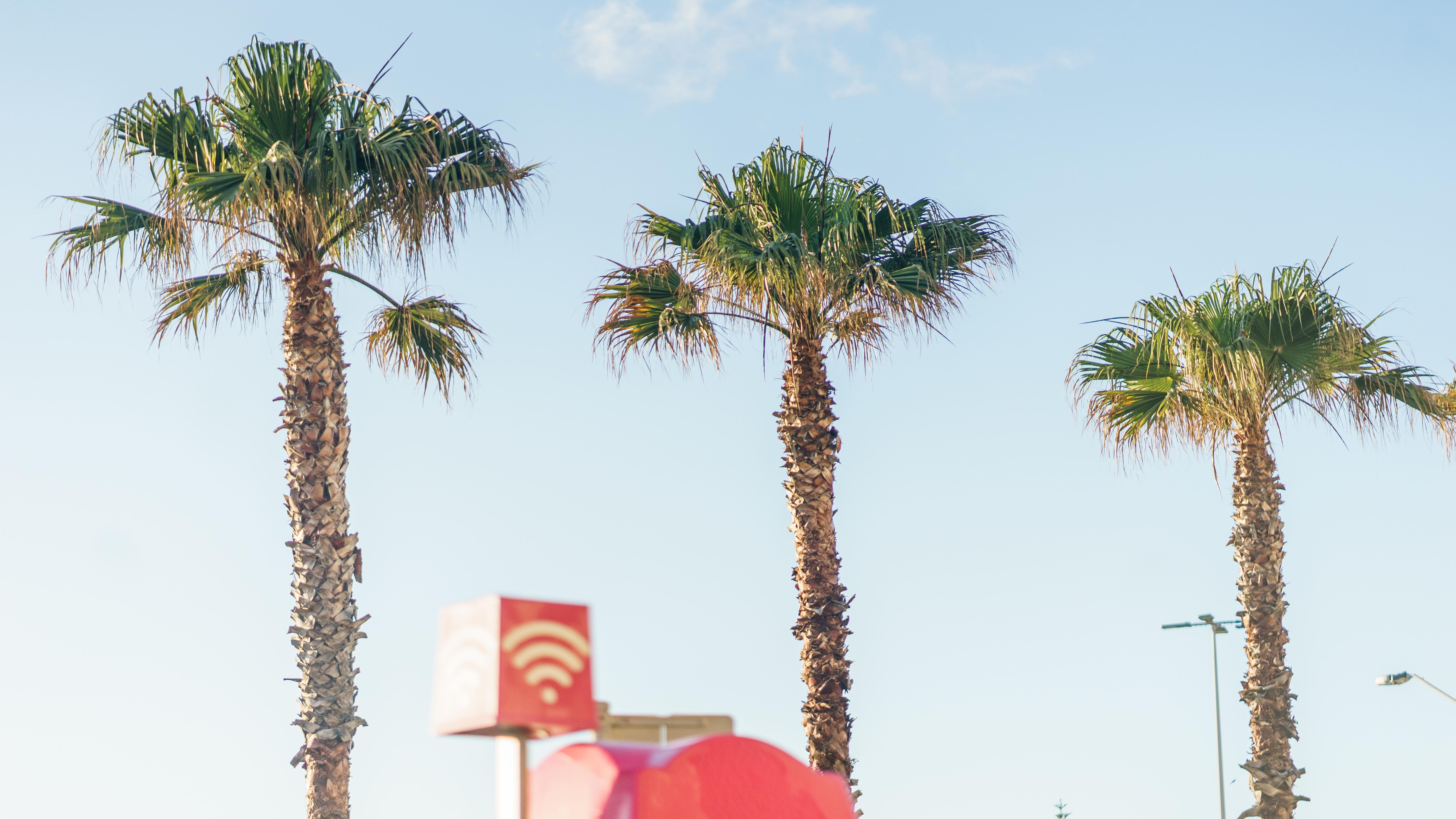 20181118-DSC04523-squashed