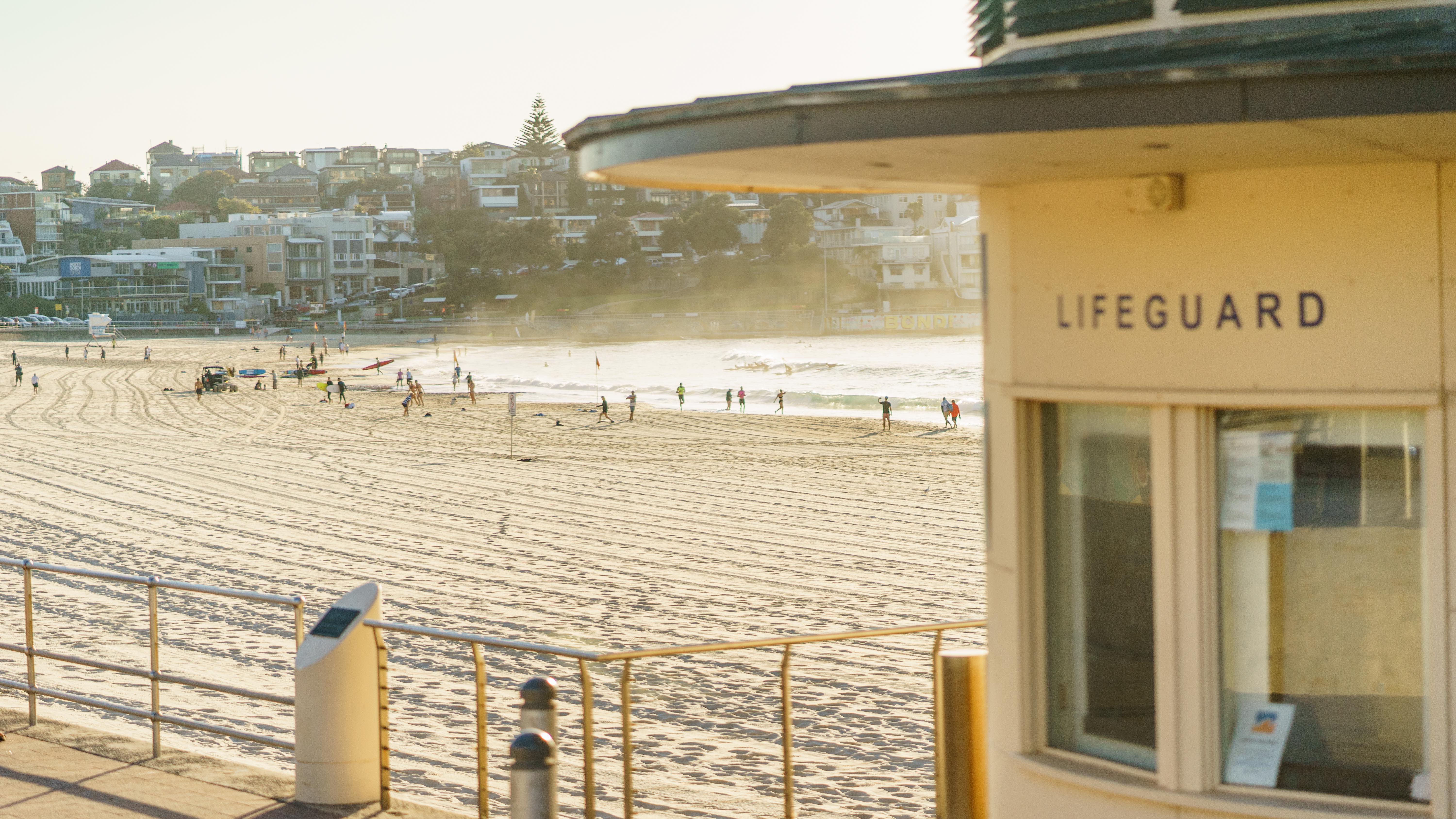 20181118-DSC04569-squashed