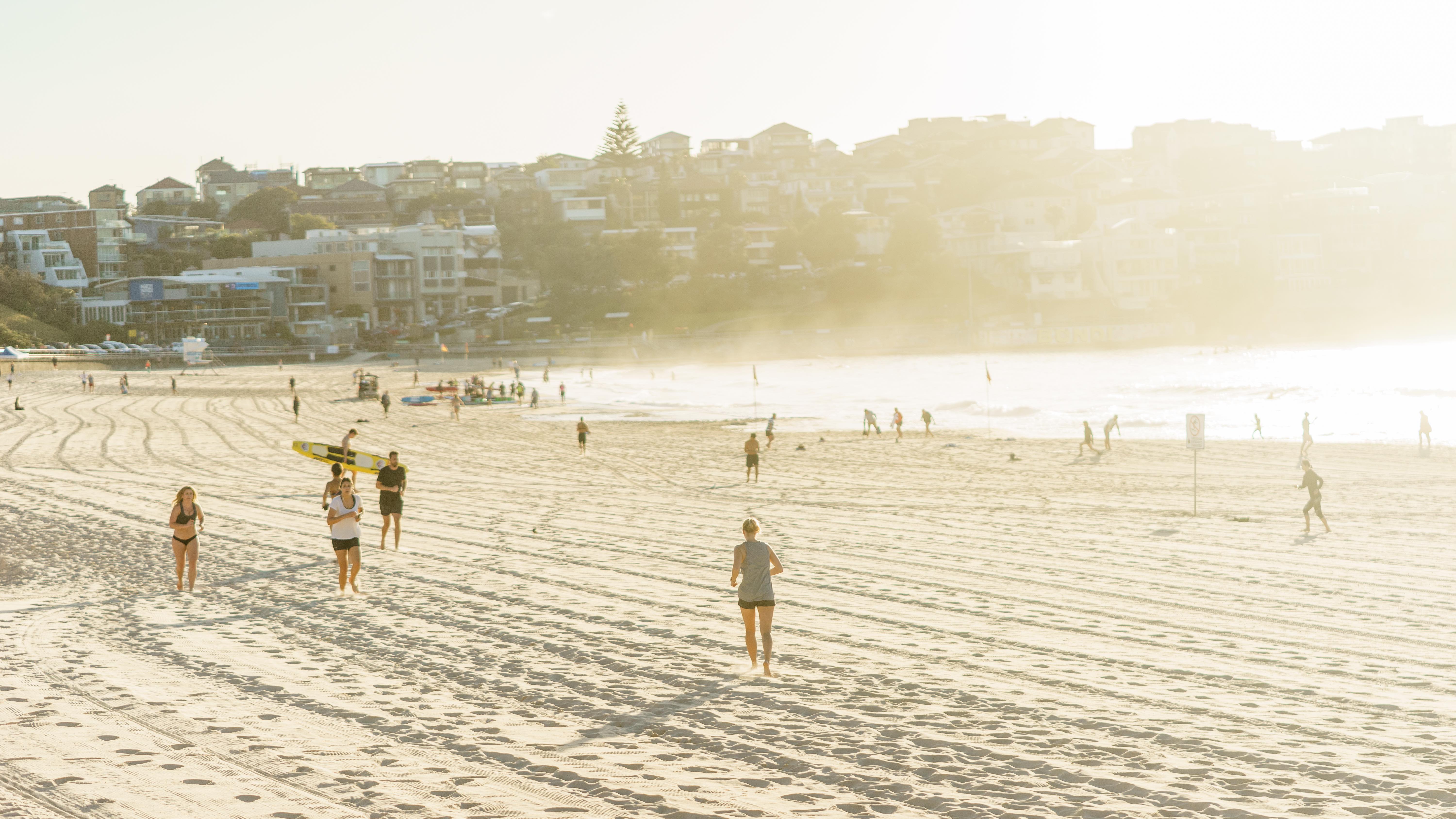 20181118-DSC04586-squashed