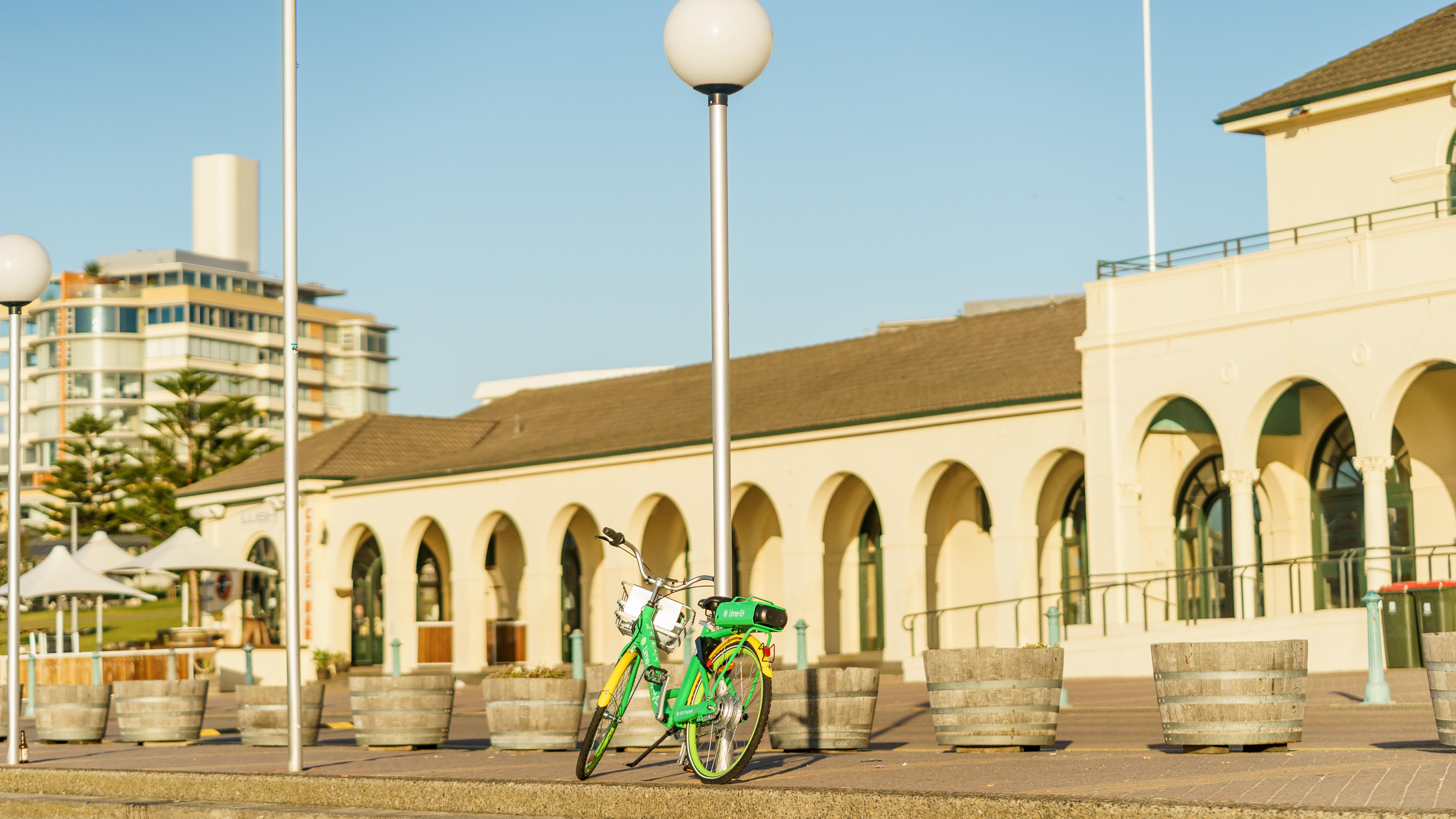 20181118-DSC04590-squashed