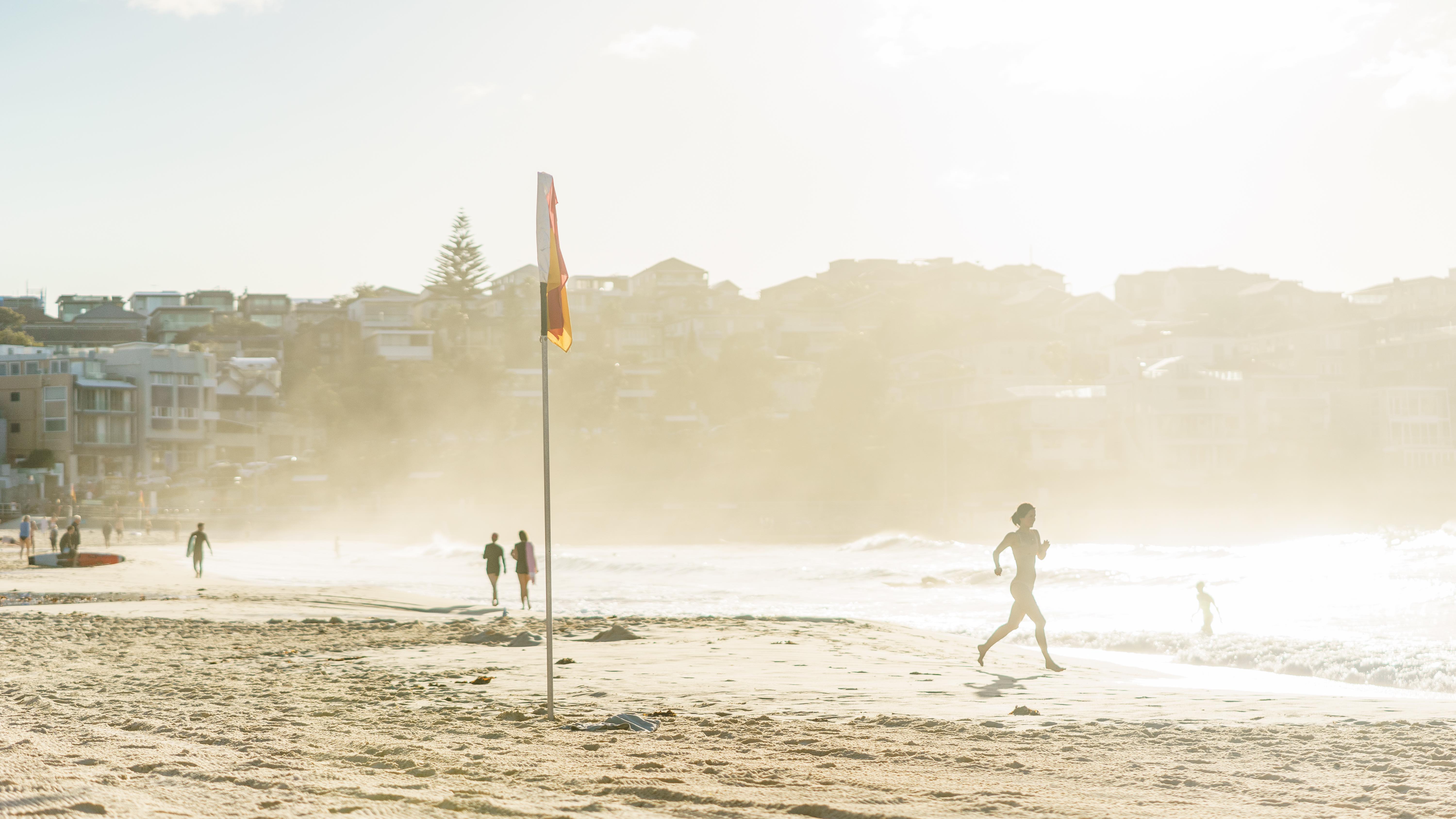 20181118-DSC04619-squashed