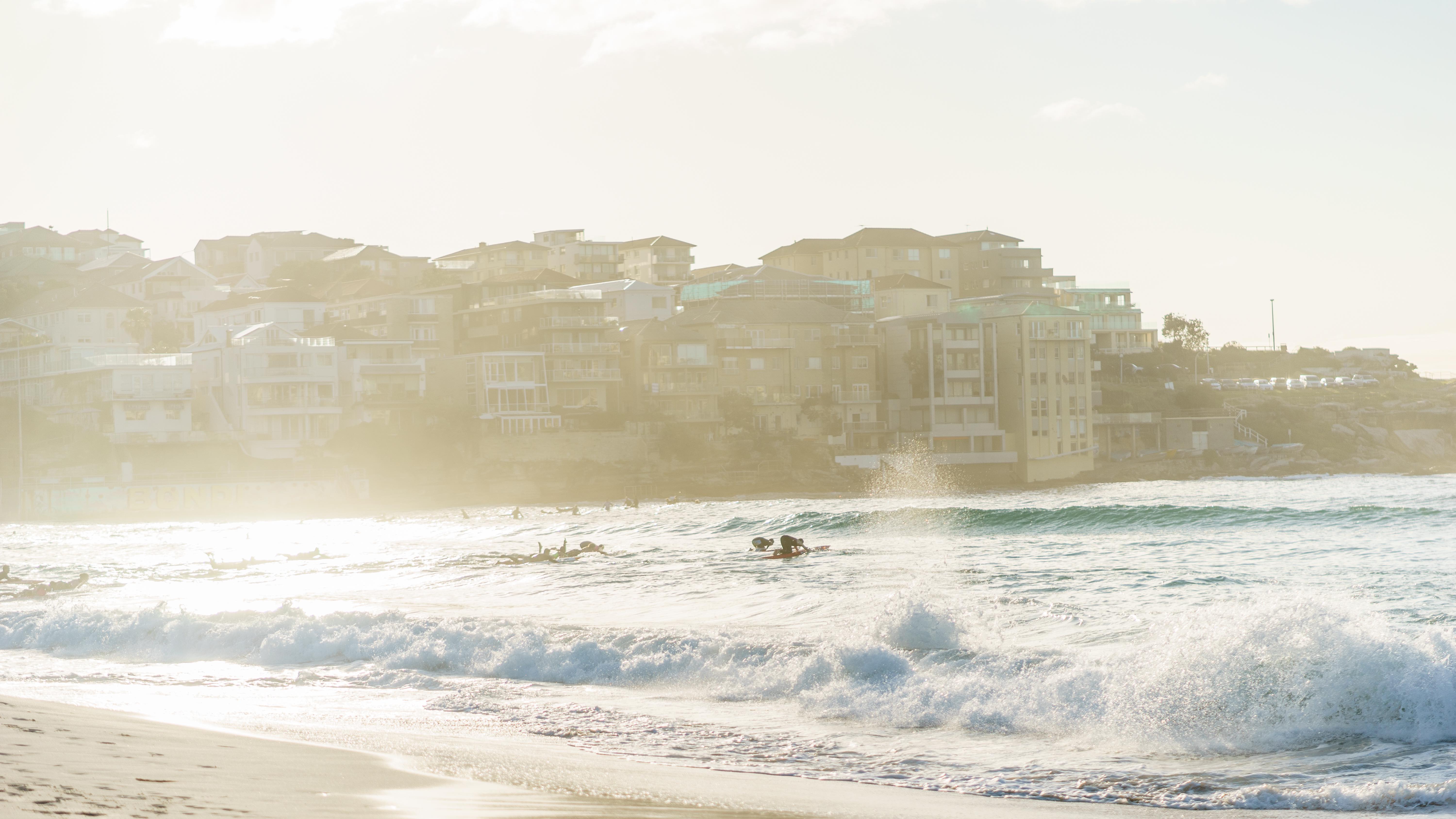 20181118-DSC04629-squashed