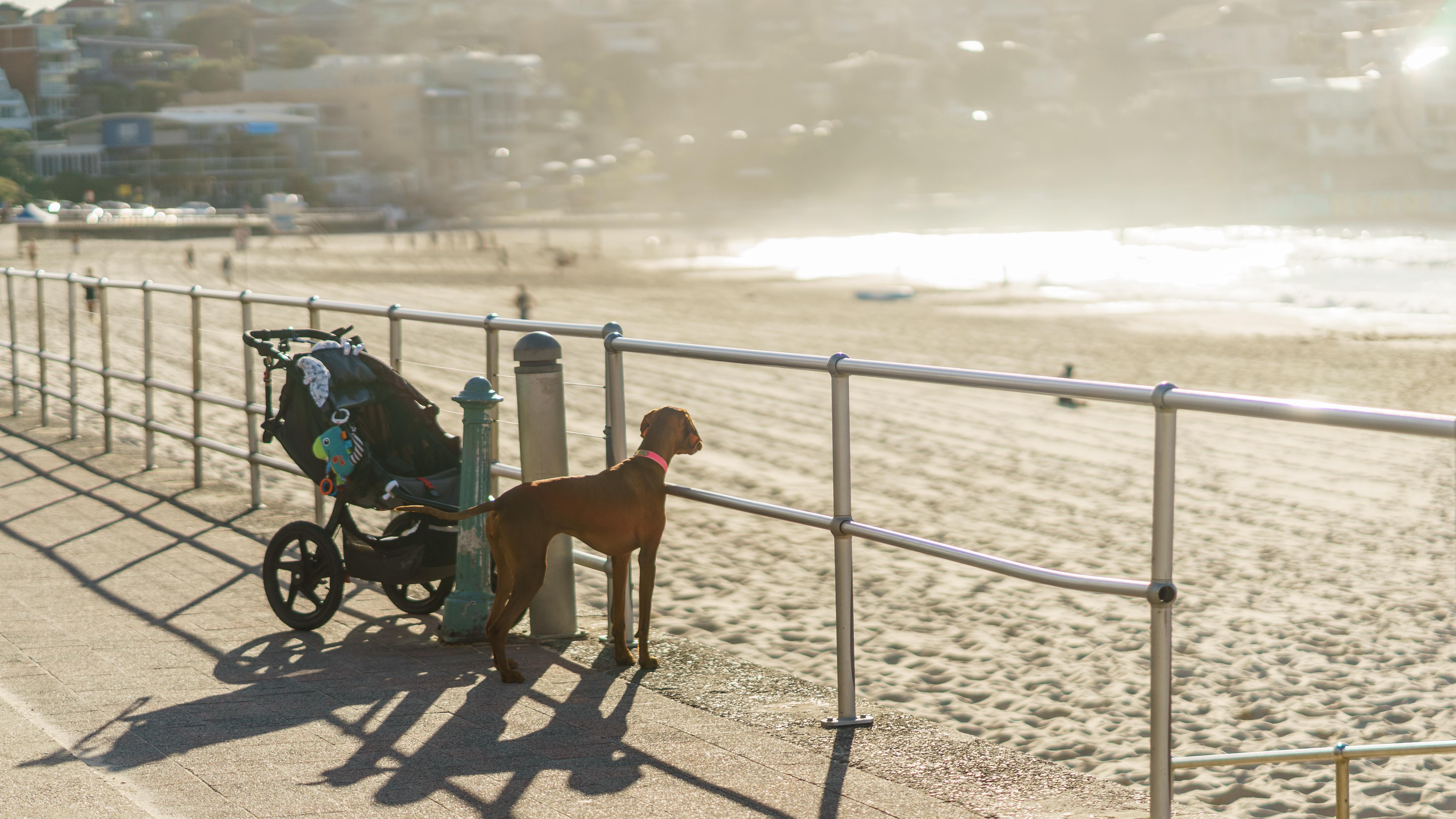 20181118-DSC04664-squashed