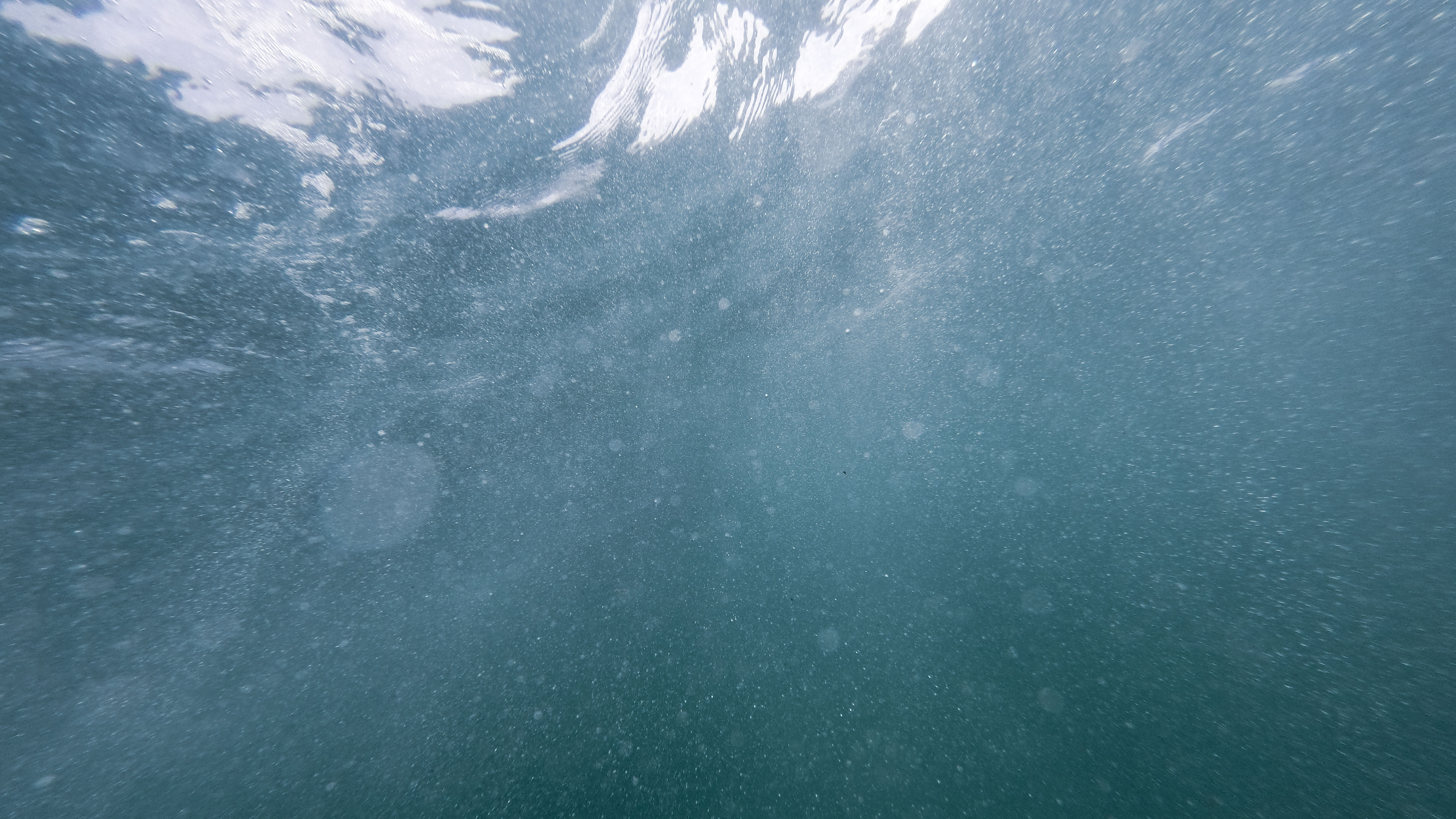 DCIM100GOPROGOPR1421.