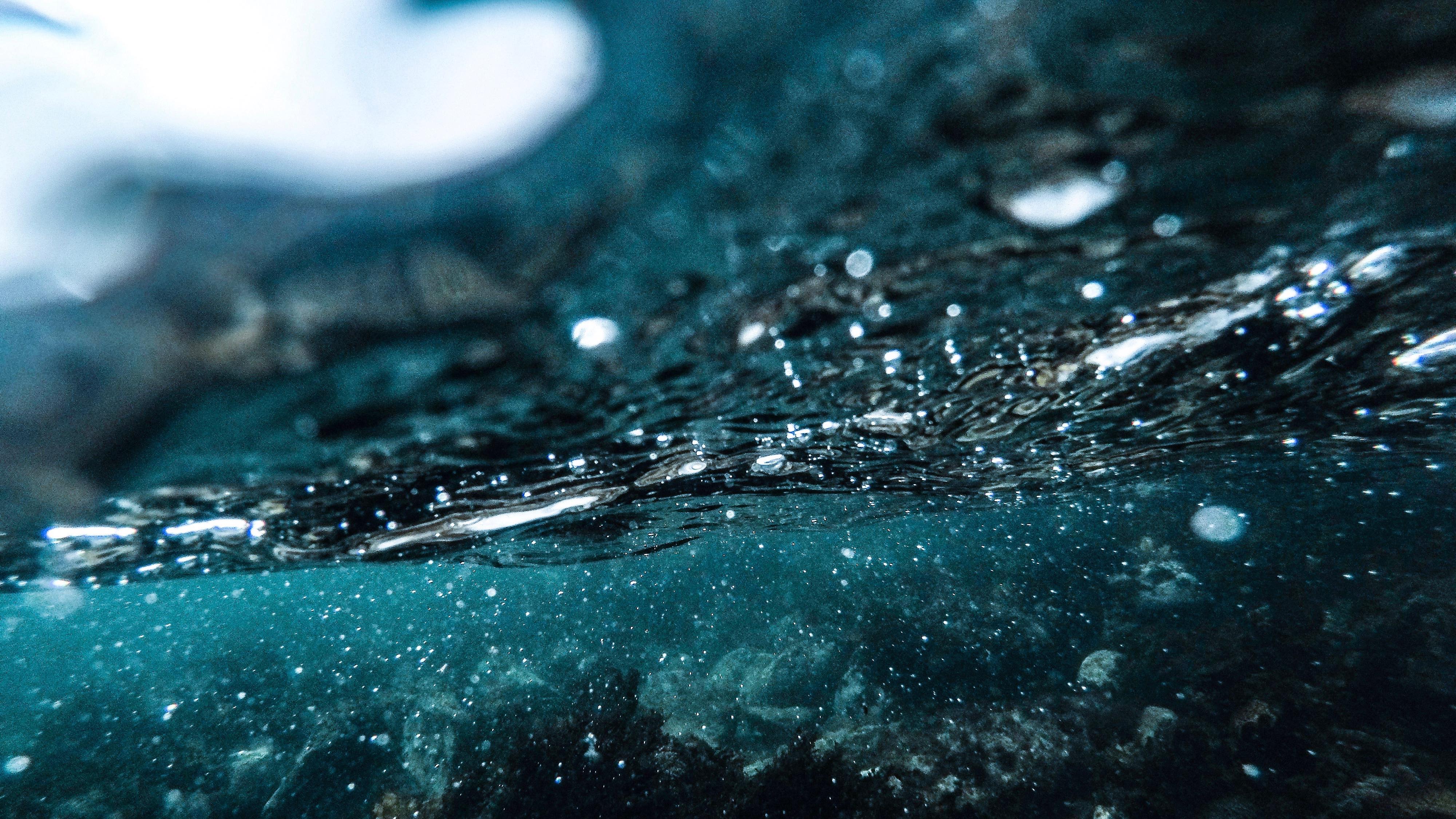 DCIM100GOPROGOPR1459.