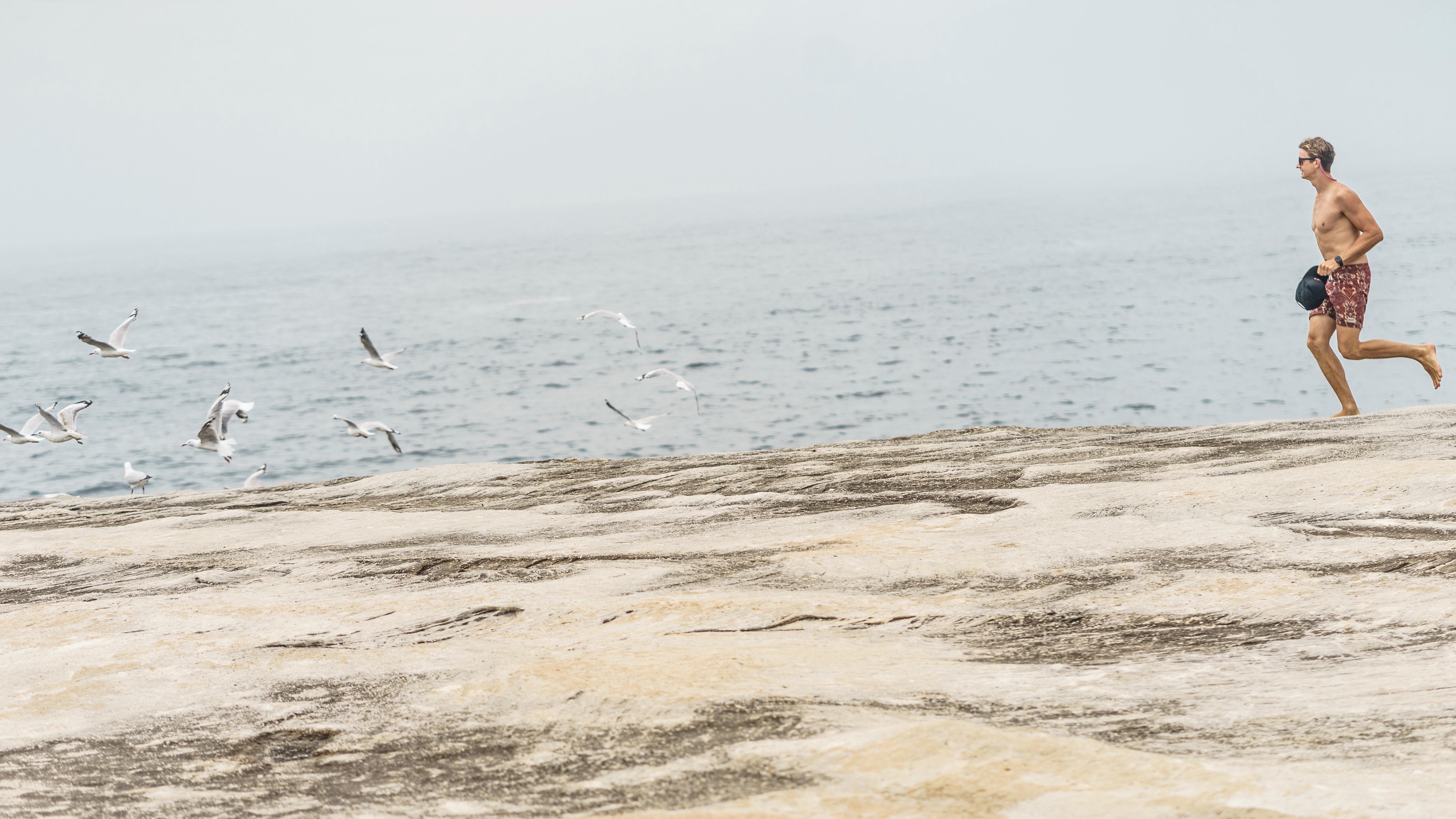 20181230-DSC08726-squashed