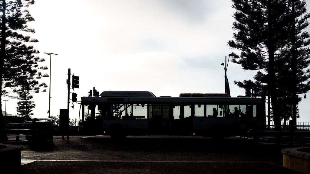 Day 168. – That’s&nbsp;Fog-tastic