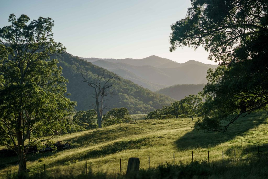 Day 171. – Farm&nbsp;(Re)fresh