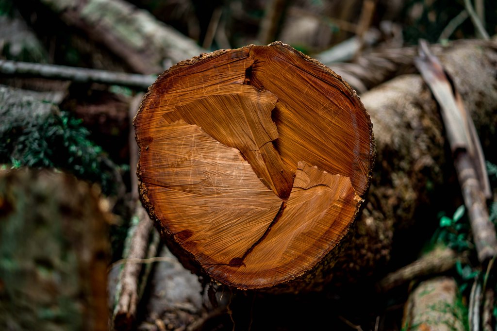 Day 198. – Mt&nbsp;Warning