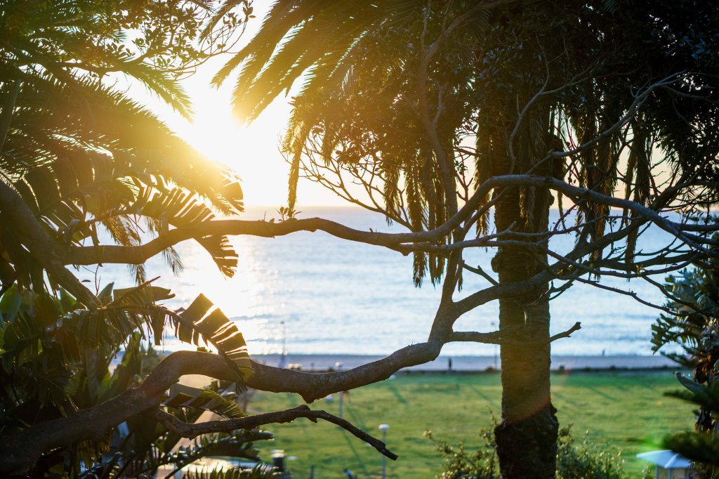 Day 207. –&nbsp;Bronteeee